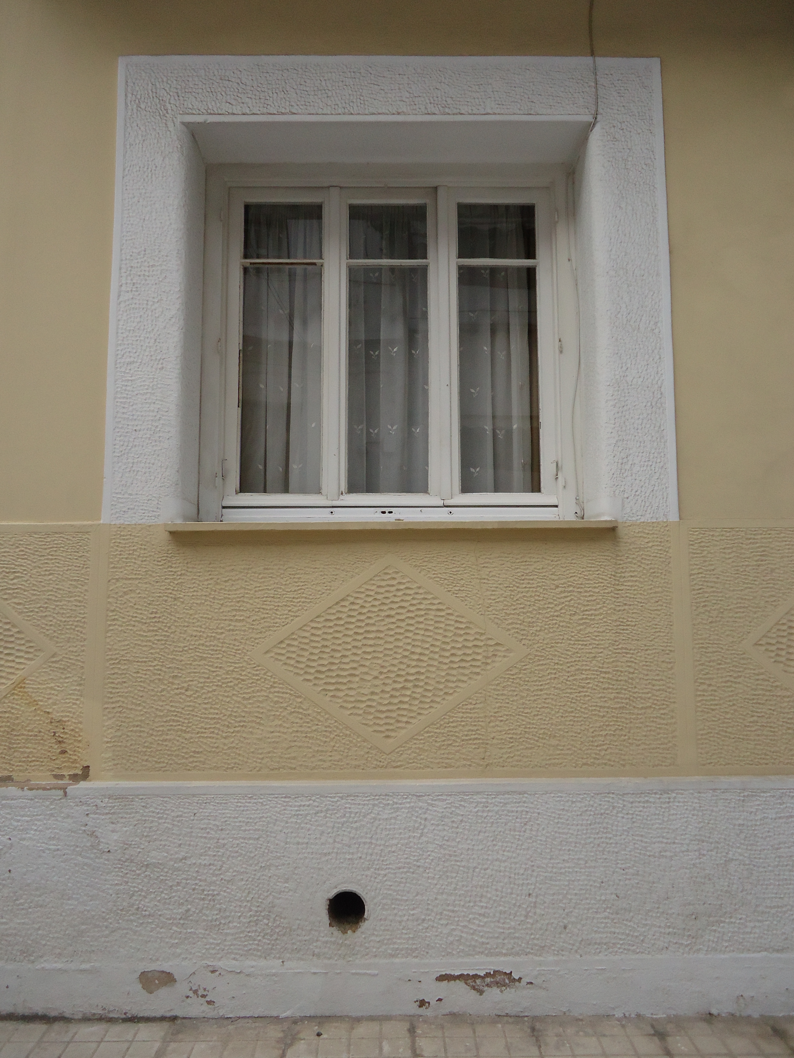 Window