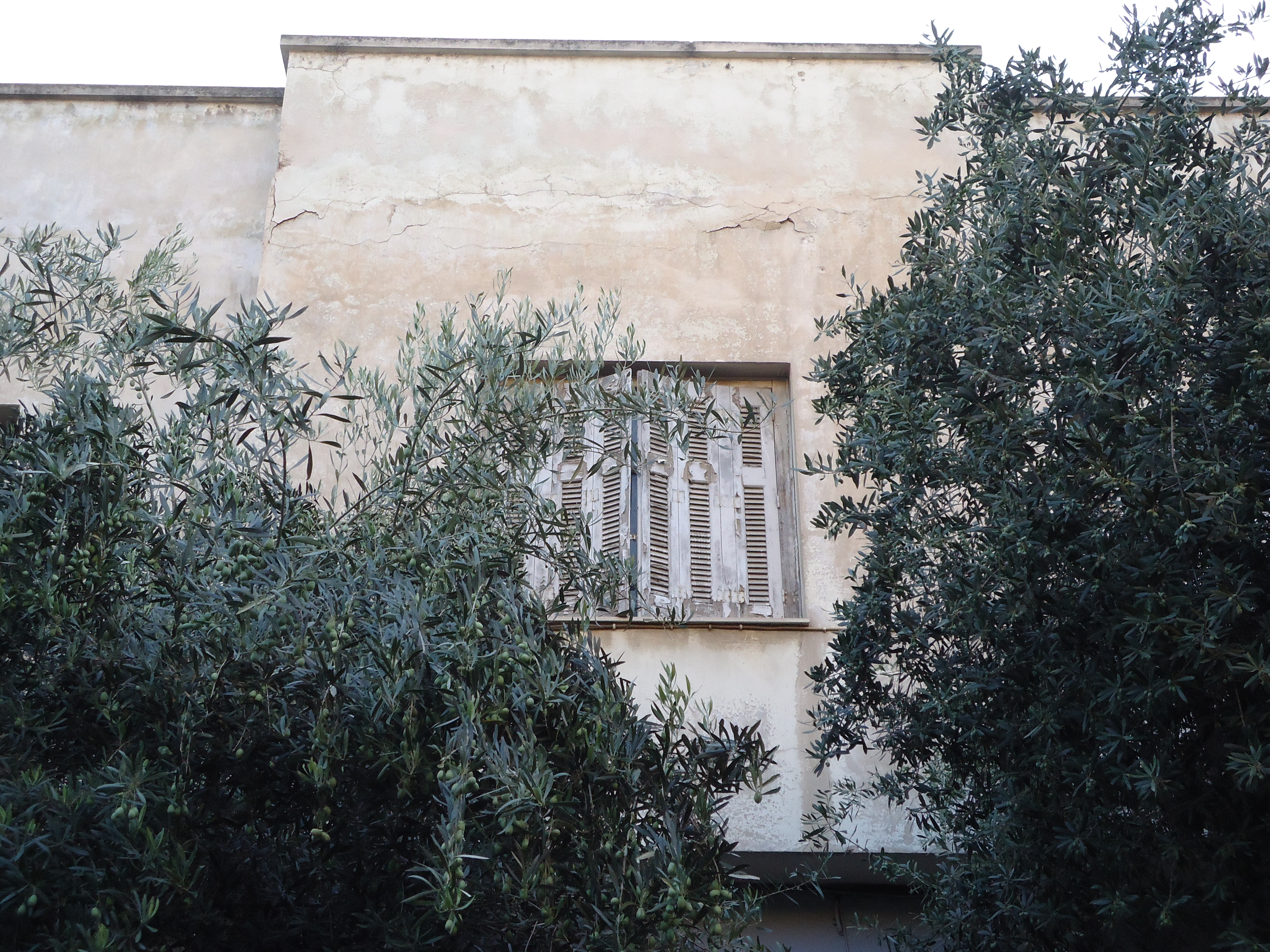 Detail of facade