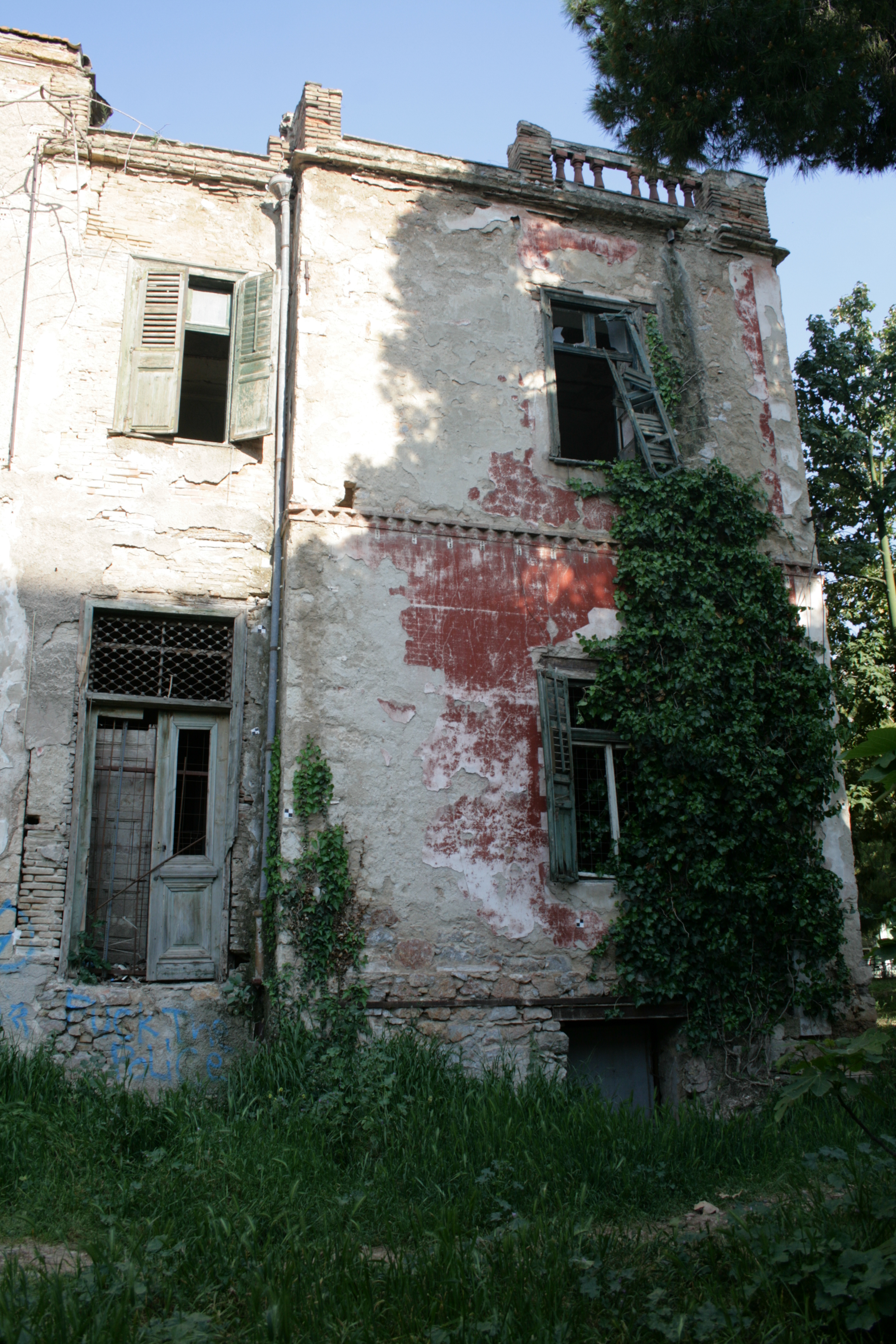 Back view