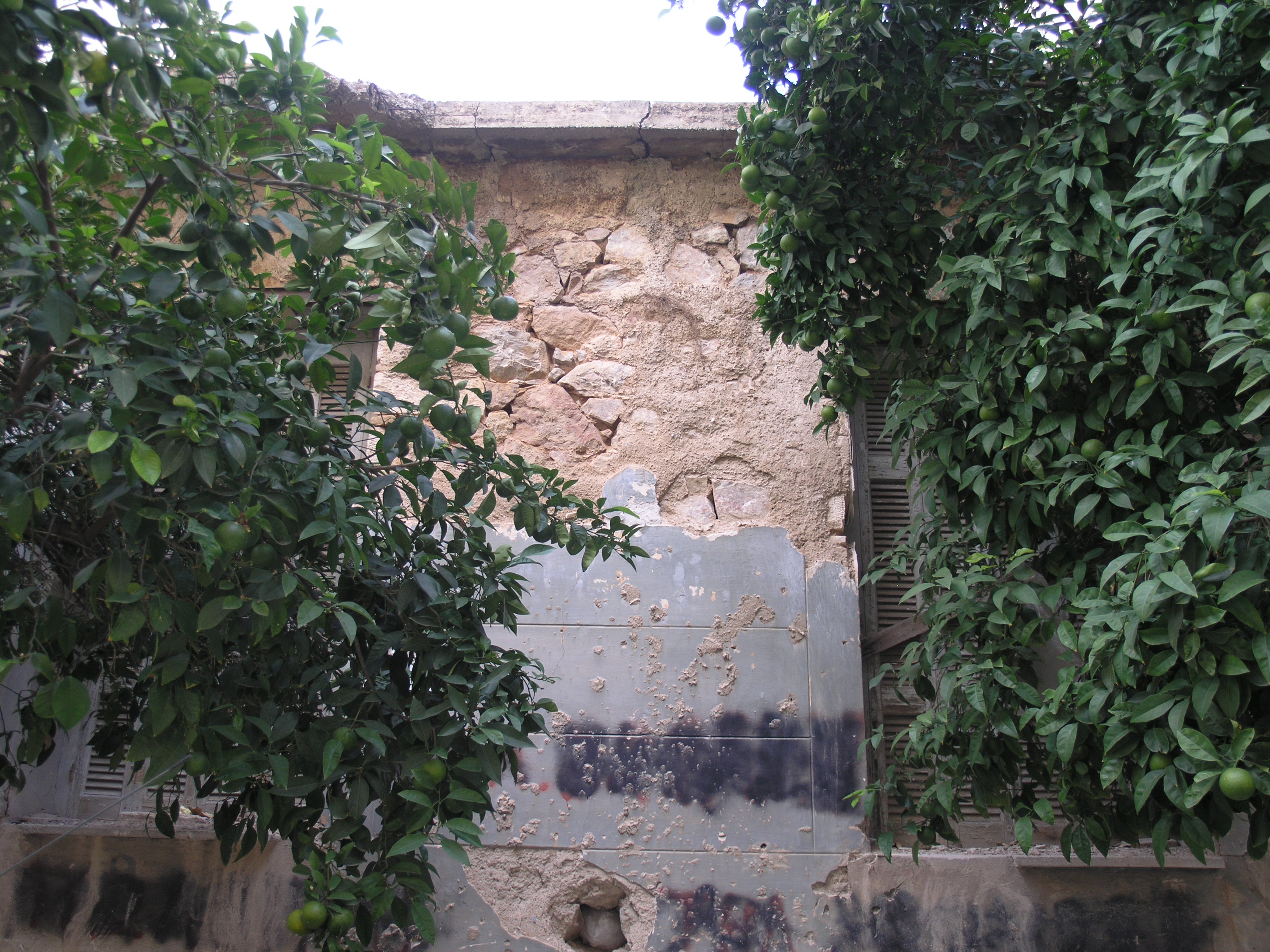 Λεπτομέρεια τοίχου κύριας όψης
