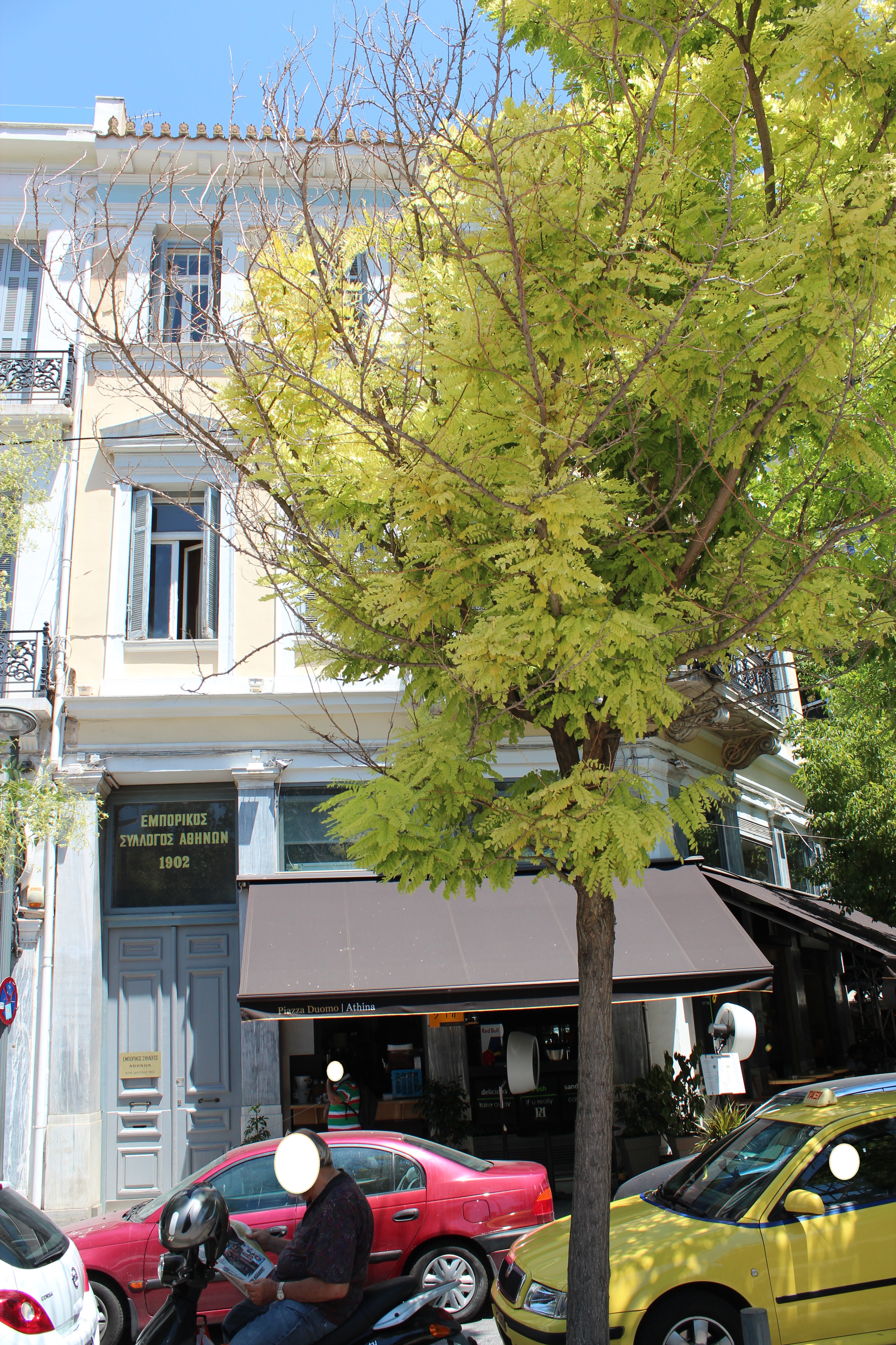 Γενική πλάγιας όψης