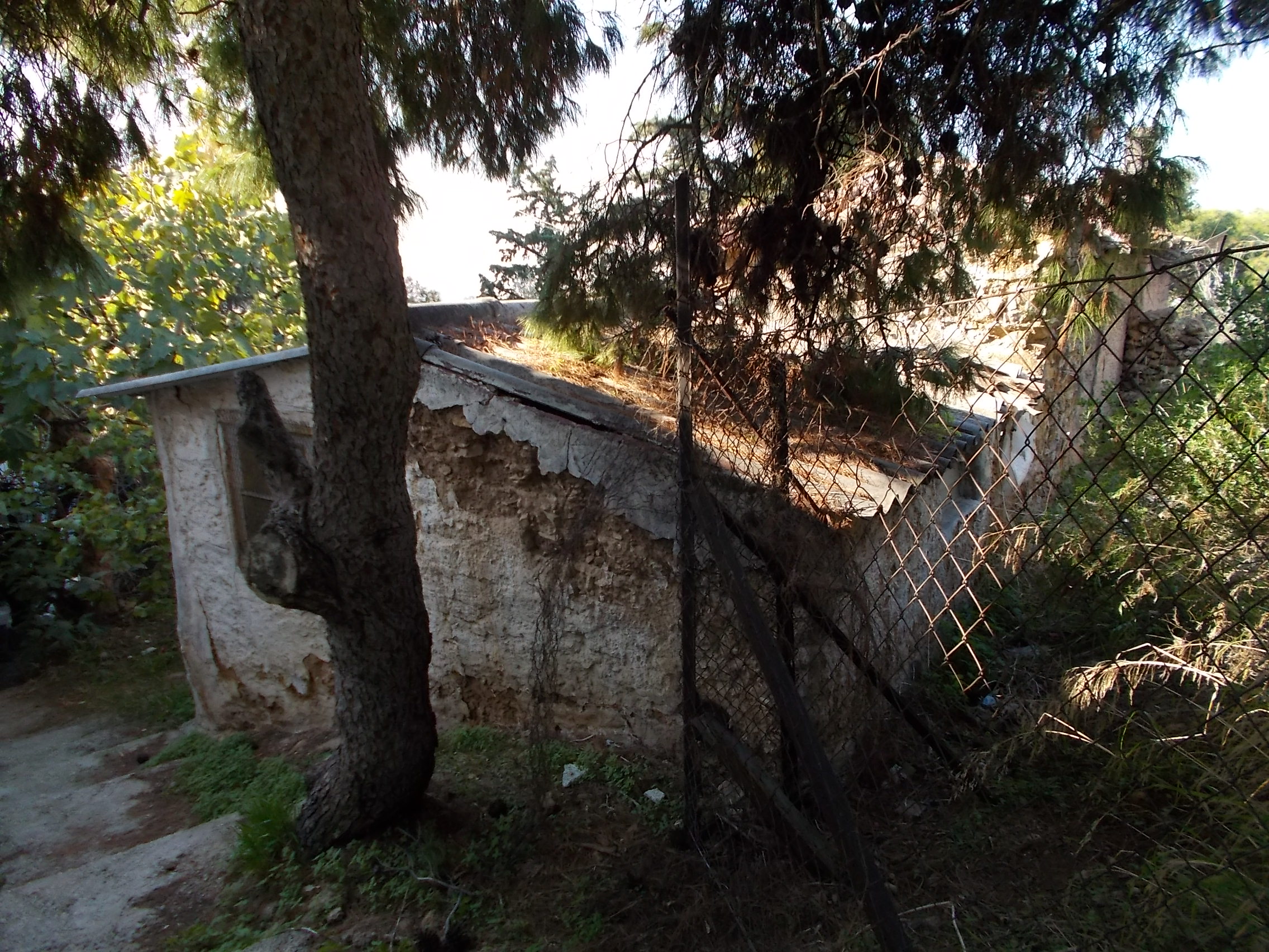 Γενική πλάγιας όψης