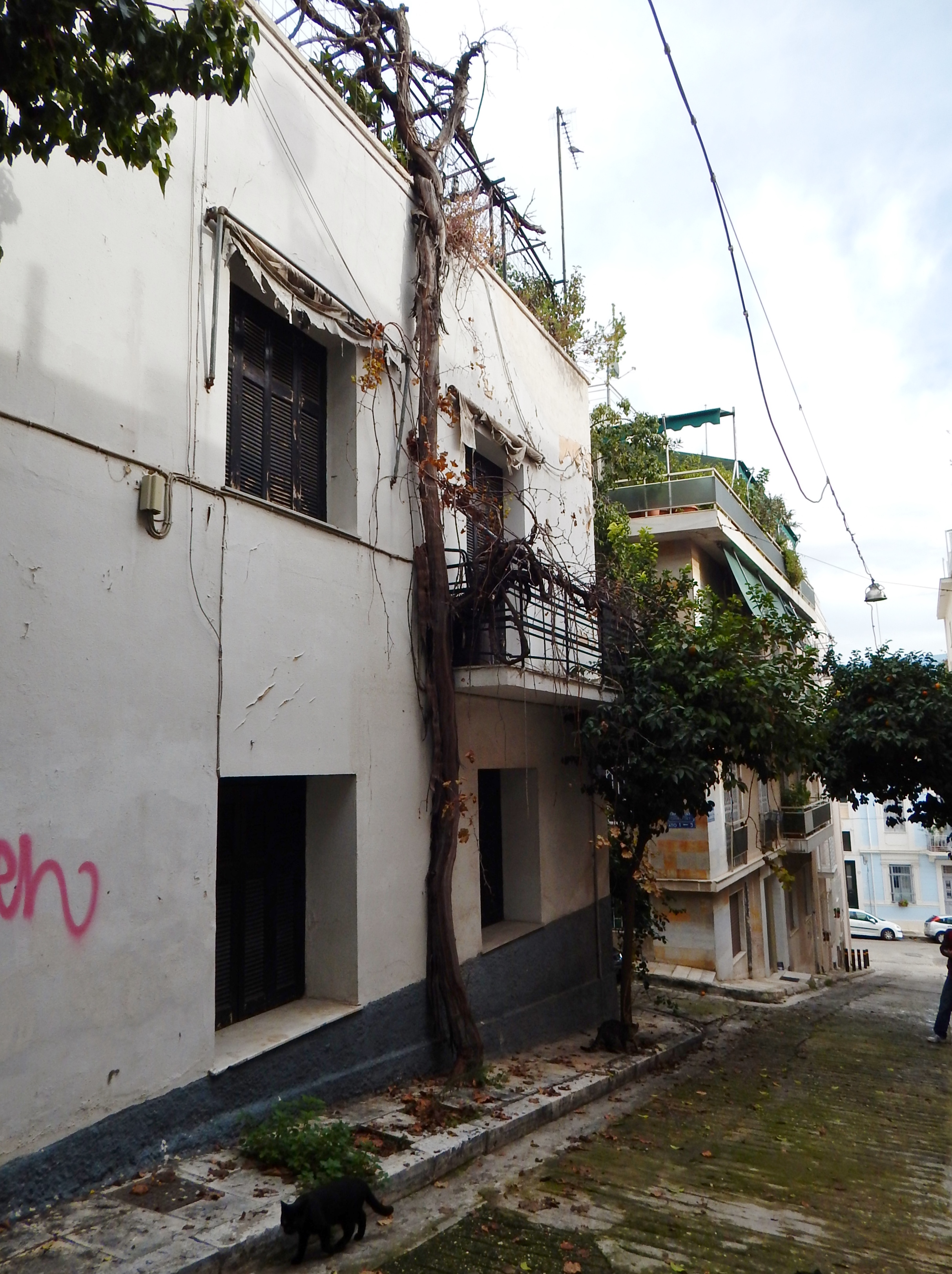 Λεπτομέρεια πλάγιας όψης