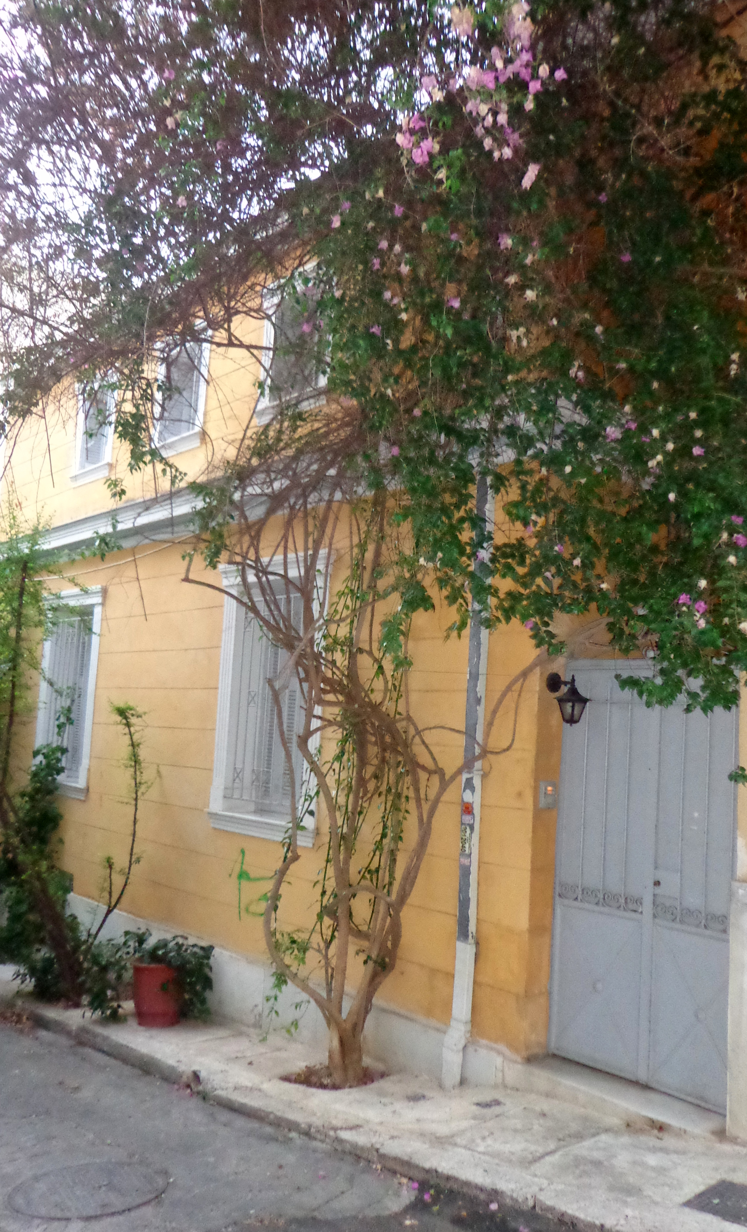 Γενική κύριας όψης