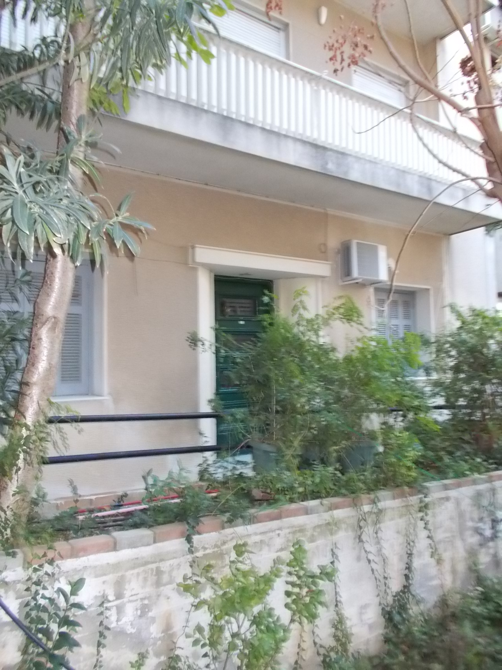 Λεπτομέρεια κύριας όψης
