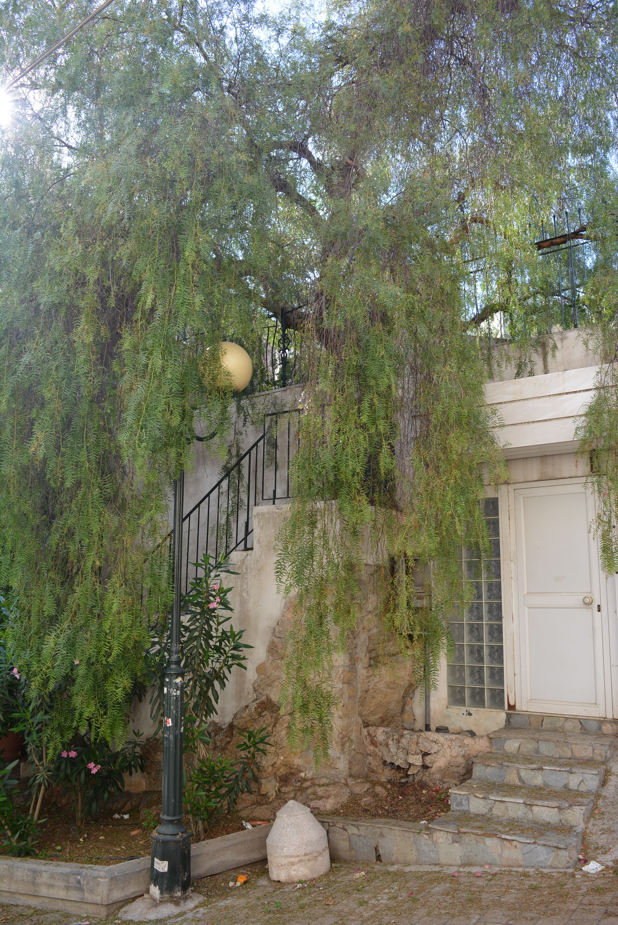 Λεπτομέρεια όψης περιβόλου