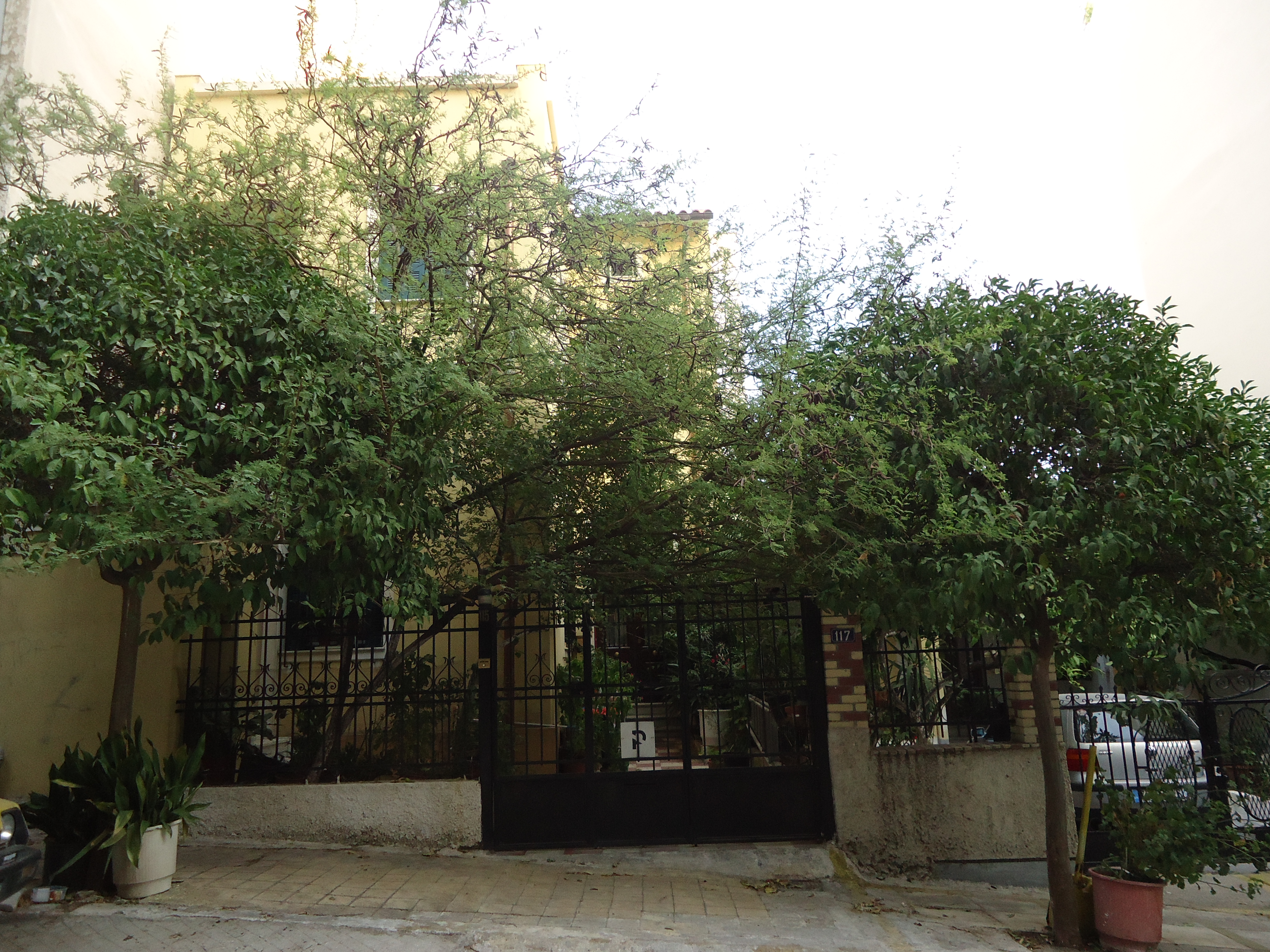 Γενική κύριας όψης