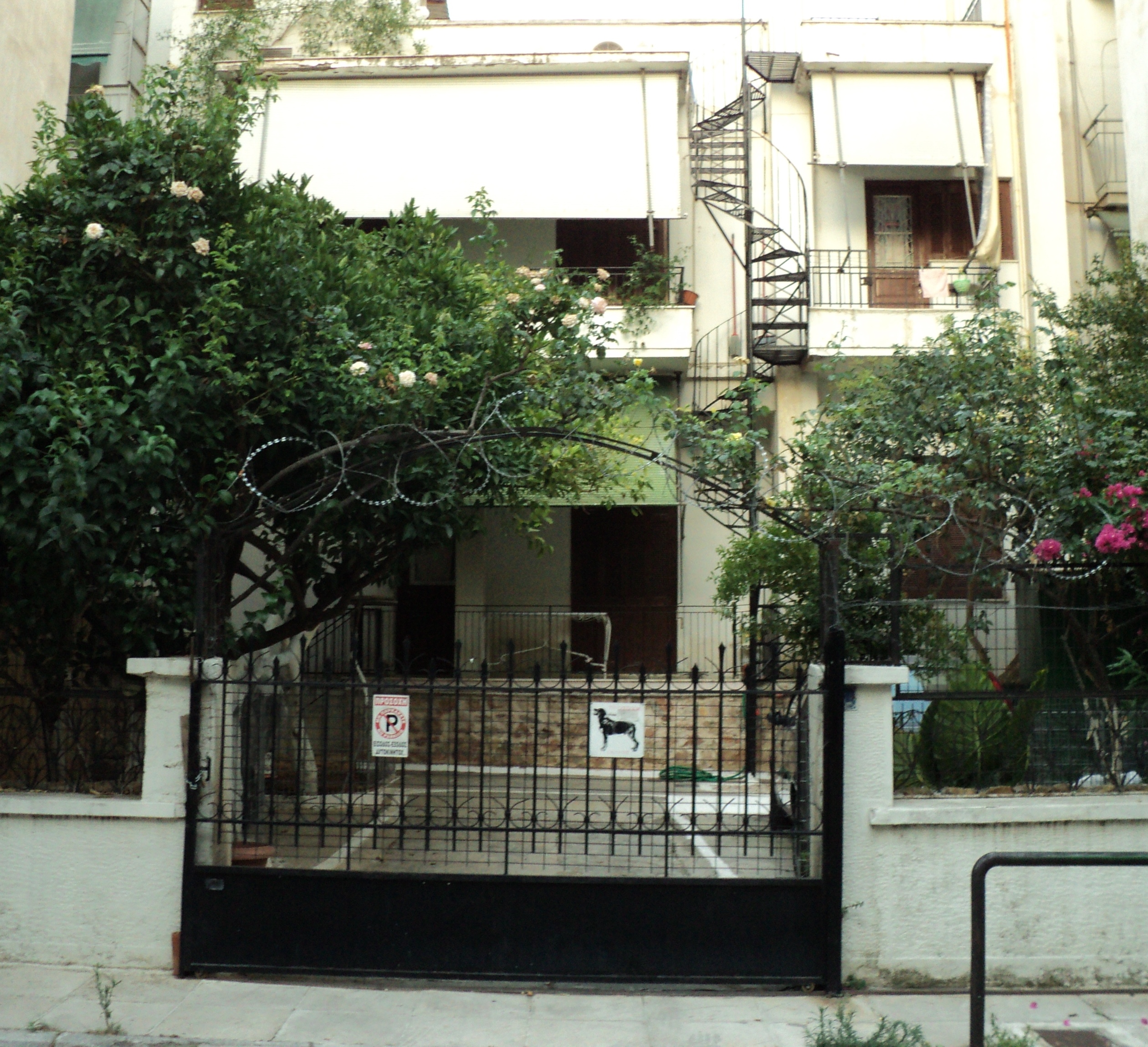 Γενική οπίσθιας όψης