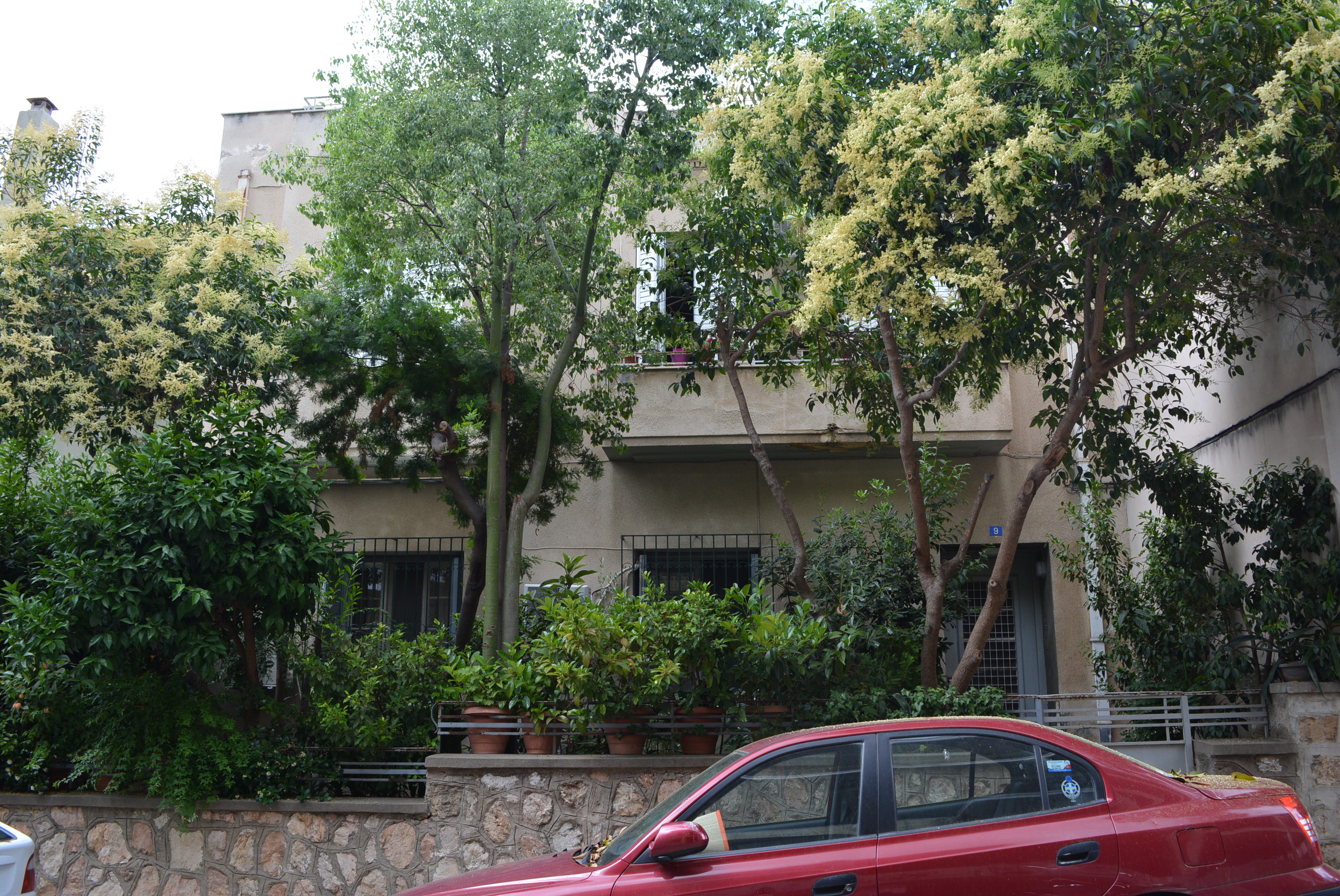 Γενική κύριας όψης