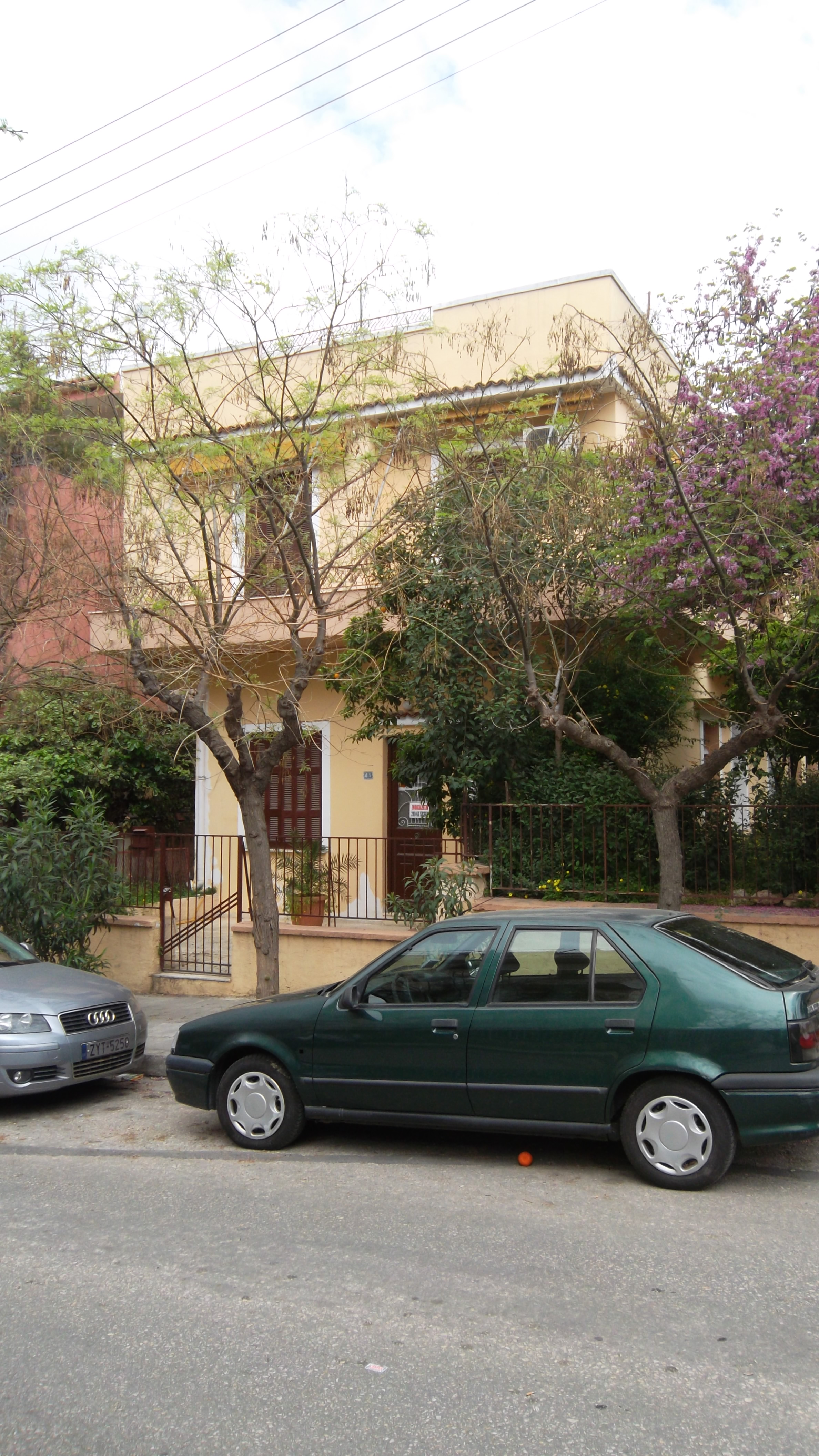 Άποψη πρόσοψης από την οδό Ροστάν.