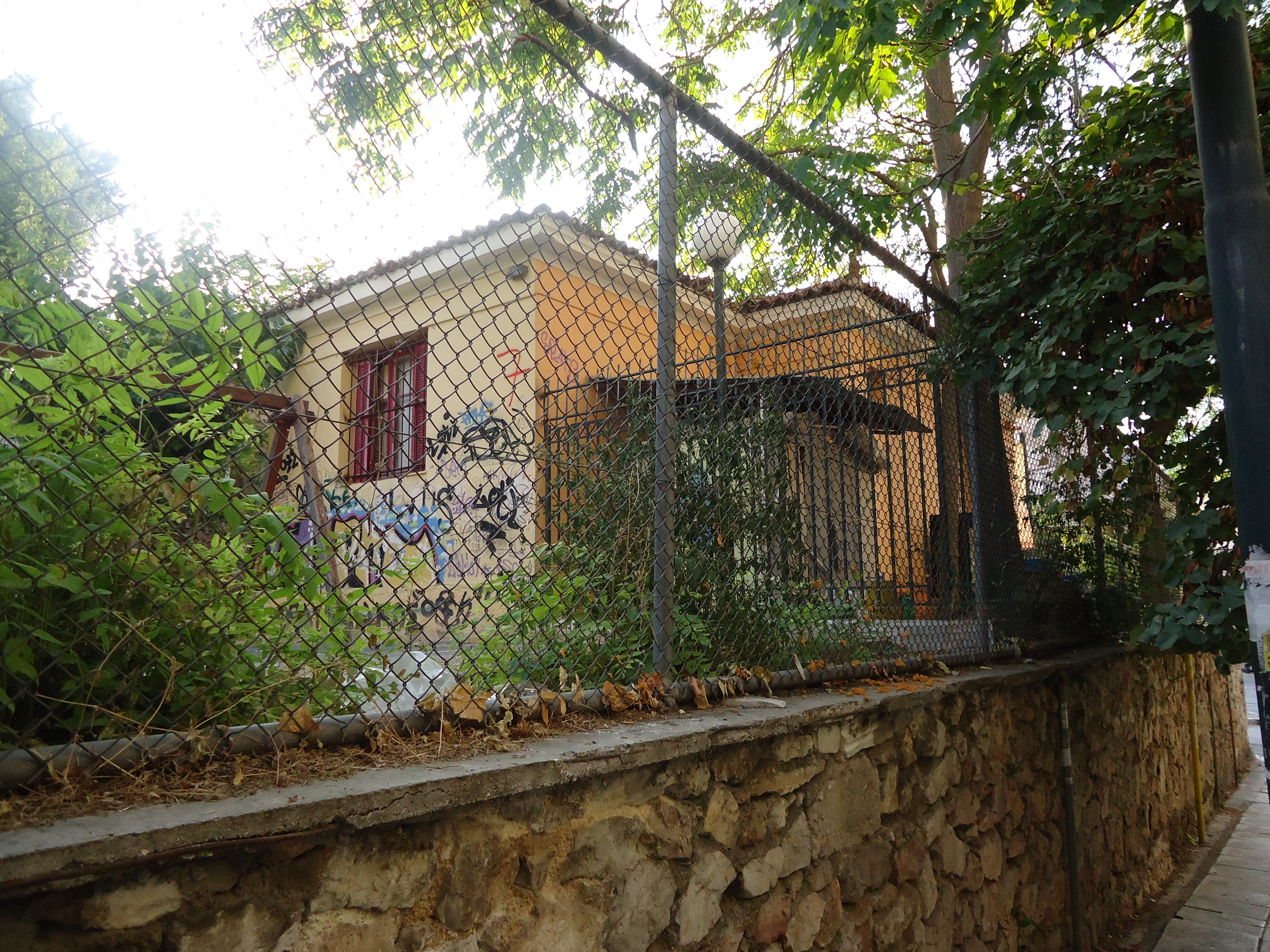 Γενική οπίσθιας όψης