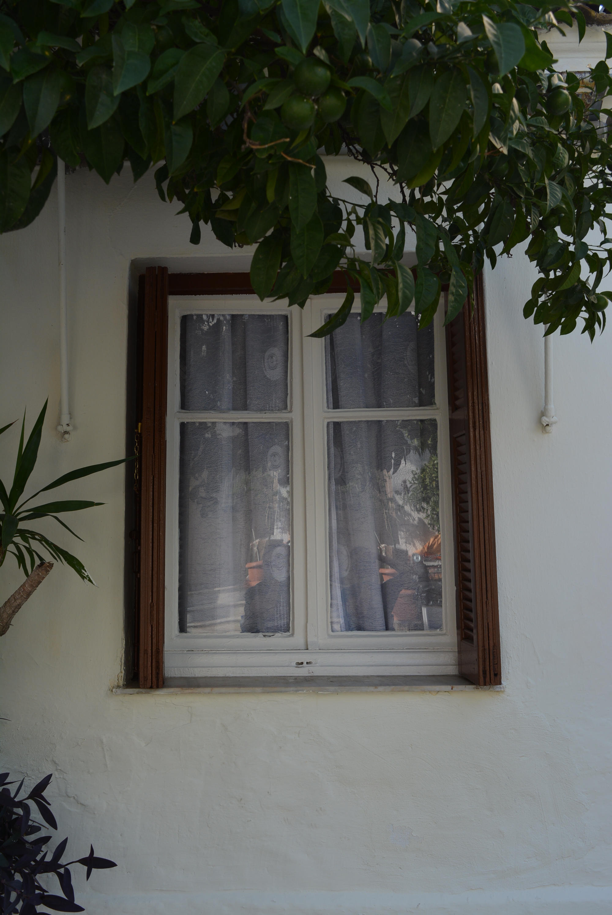 View of the window (2015)