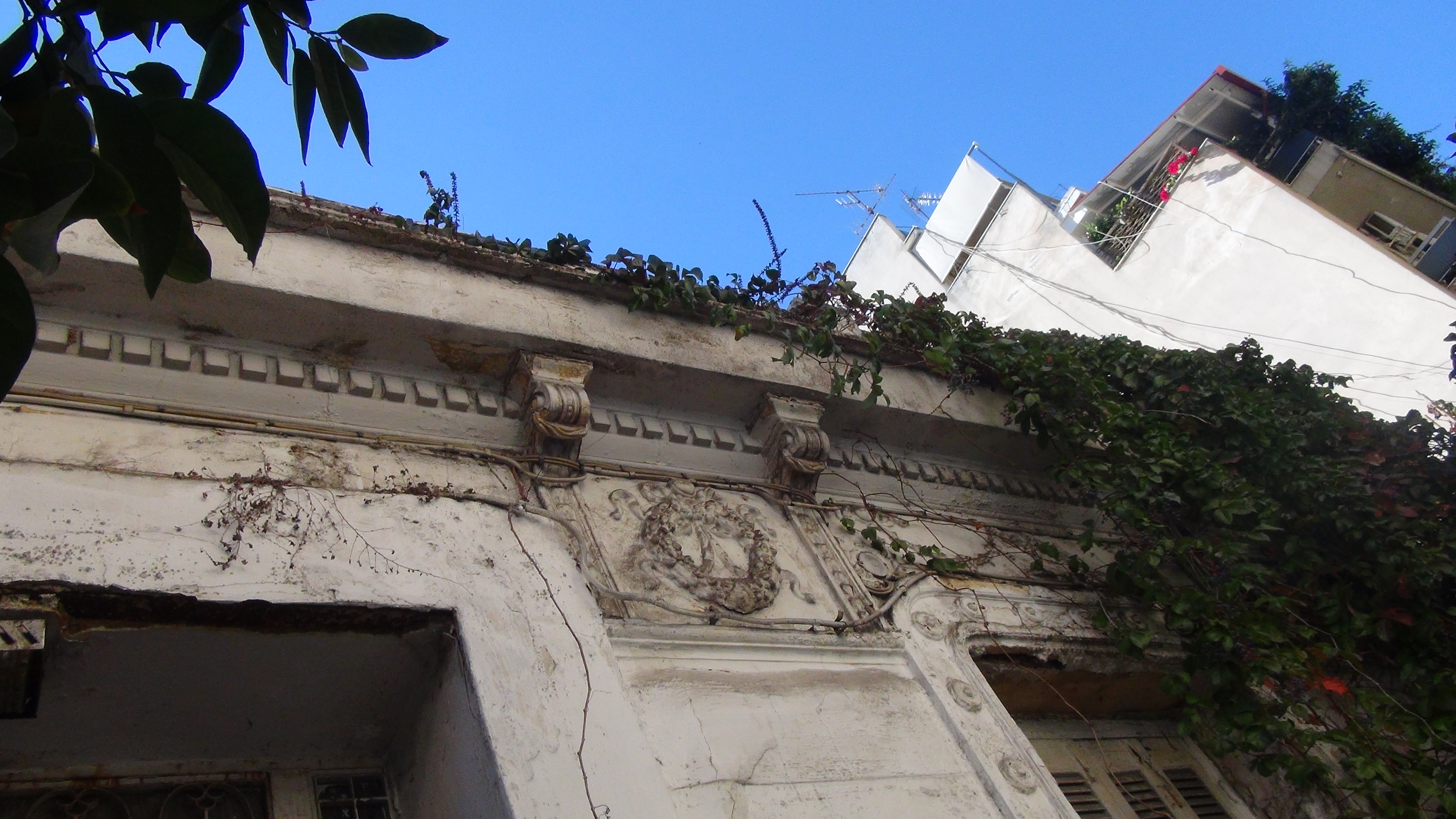 Detail of the roof