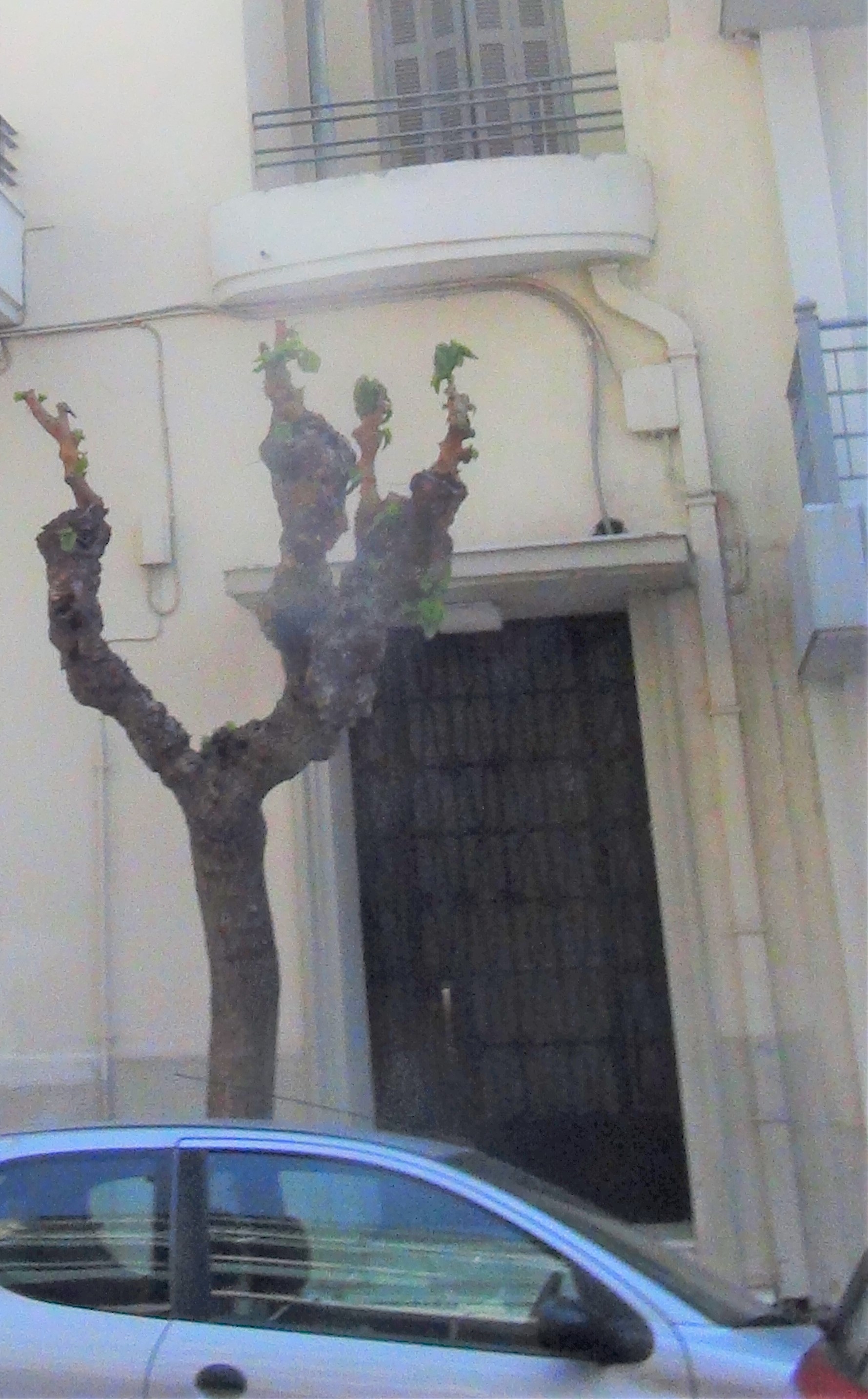 Γενική κεντρικής εισόδου
