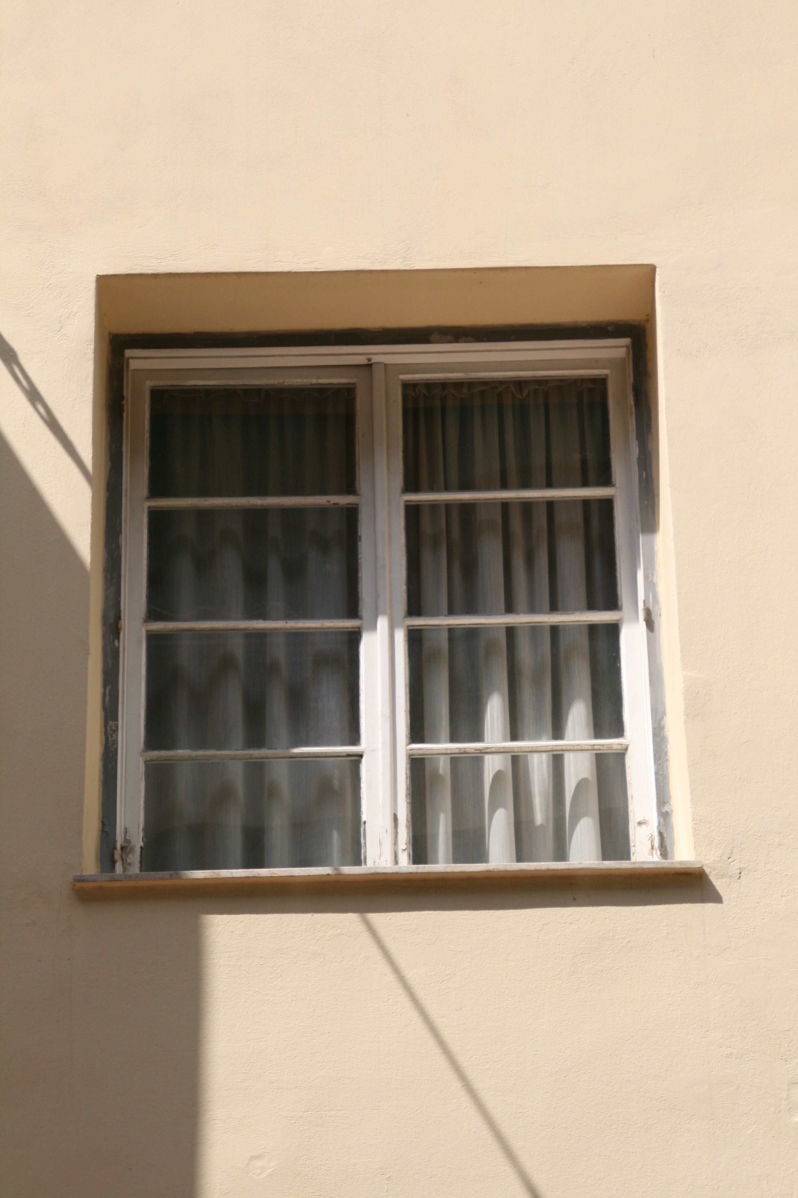 Window (2014)