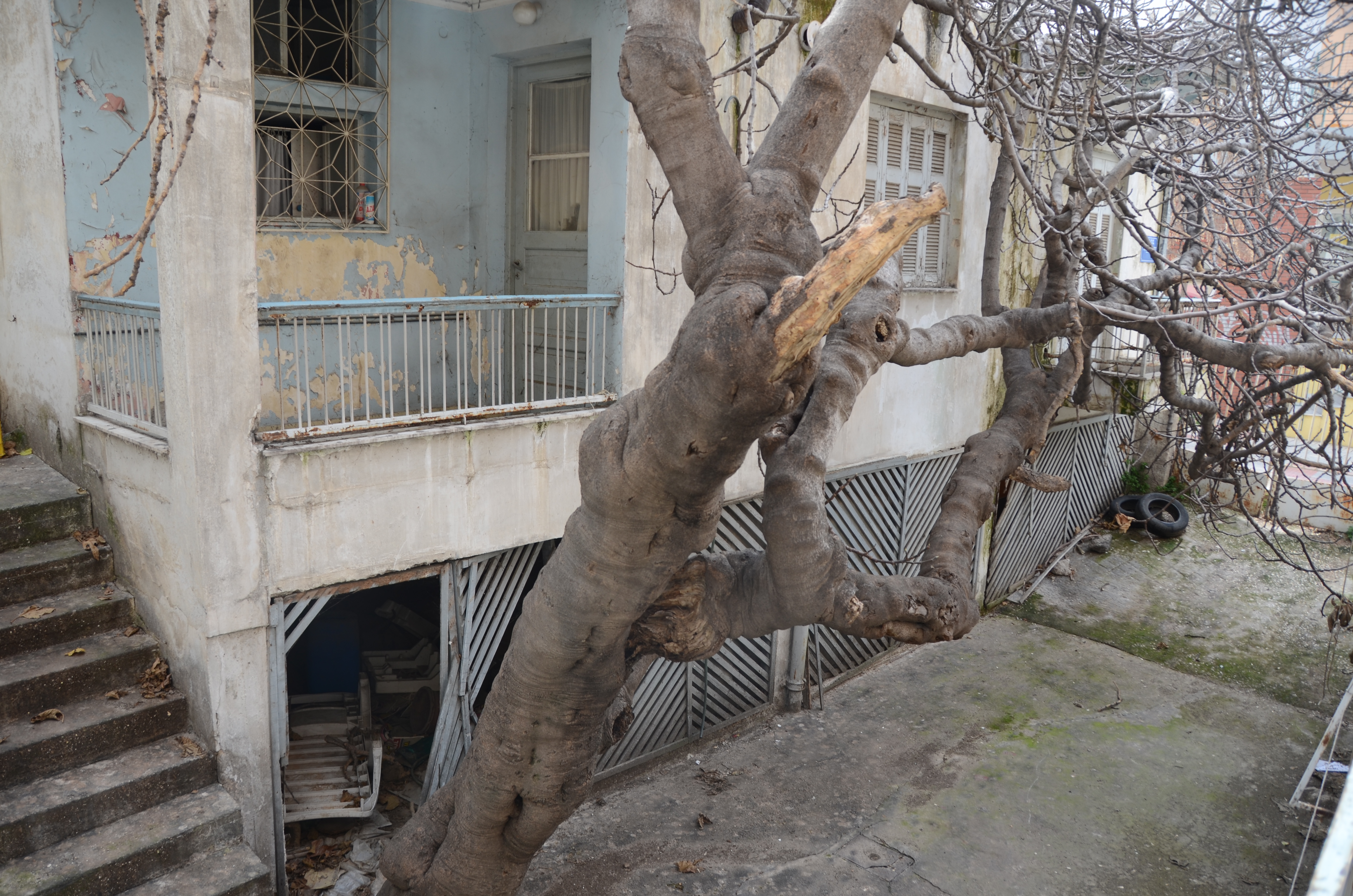 Λεπτομέρεια κύριας όψης