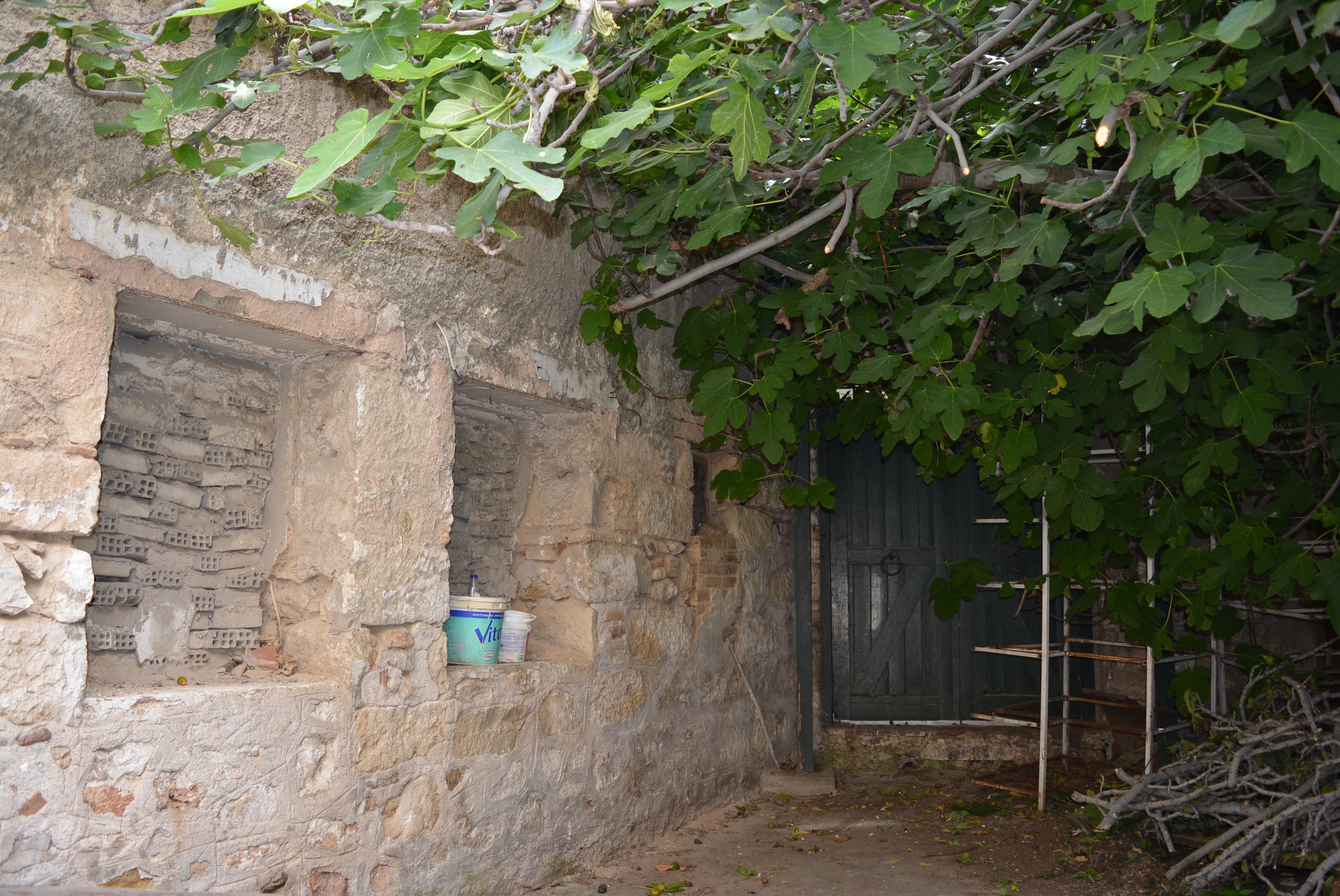 Γενική αυλής
