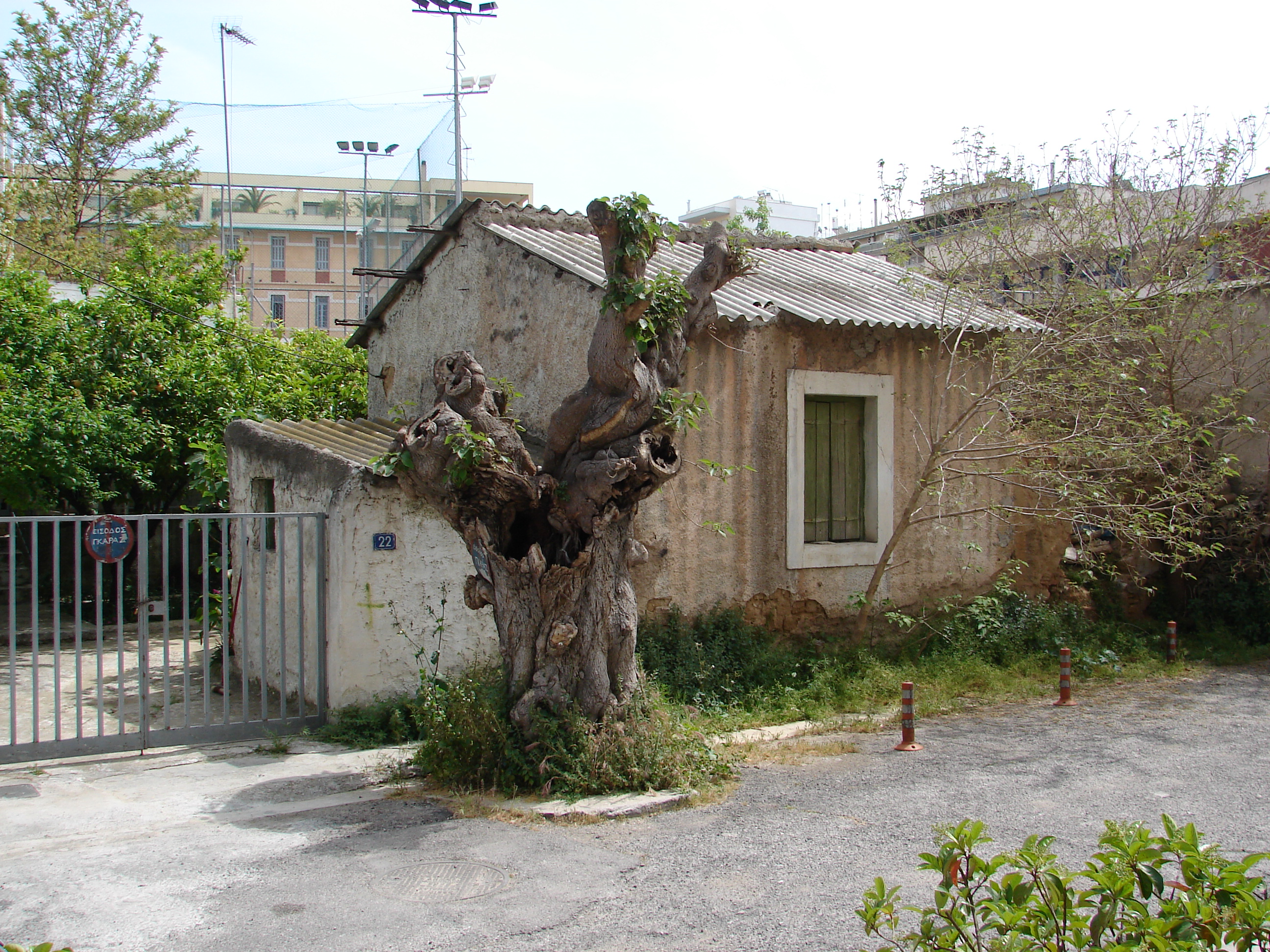 Γενική άποψη