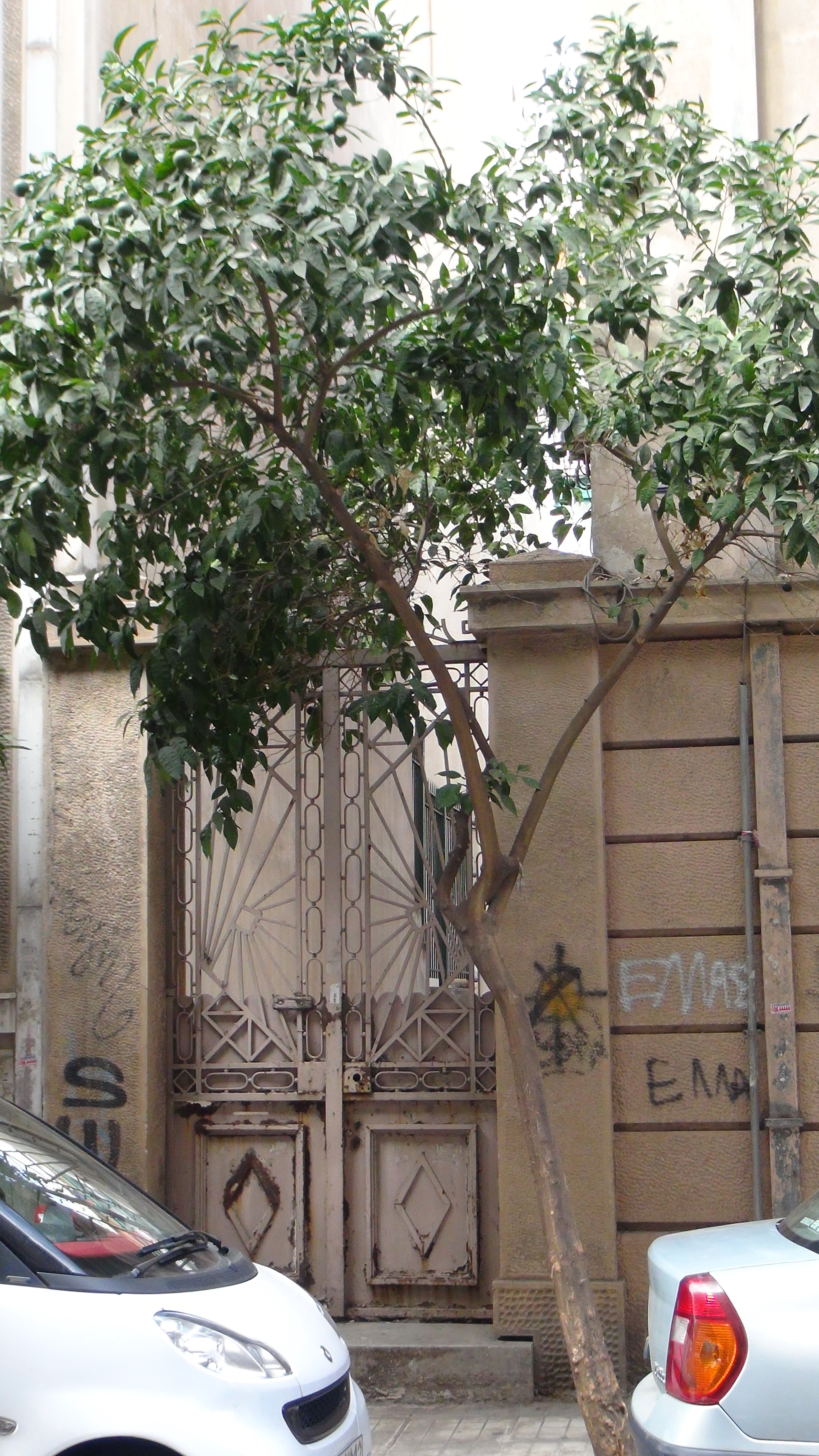 Θύρα εισόδου στην αυλή