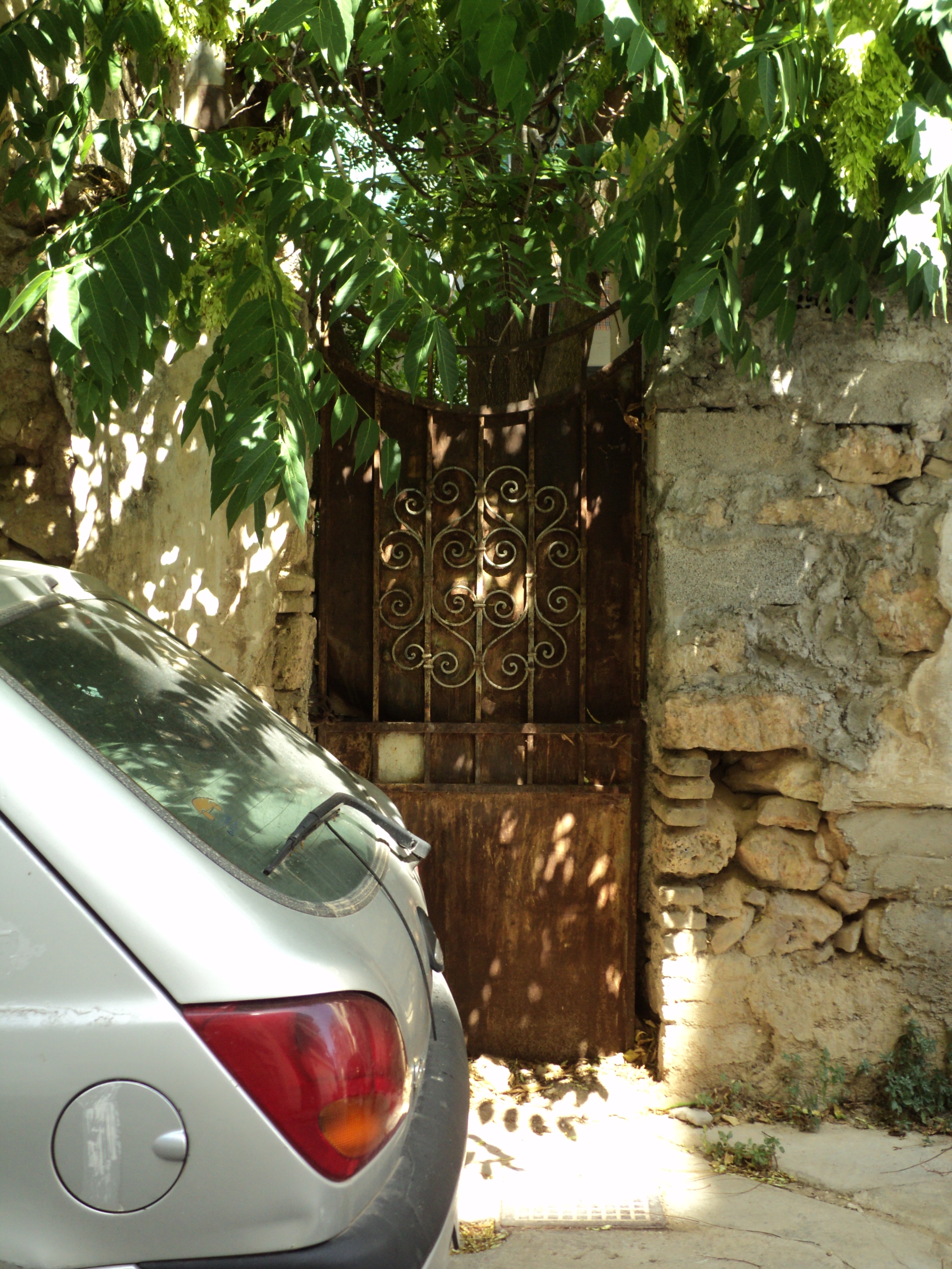 Γενική αυλόθυρας
