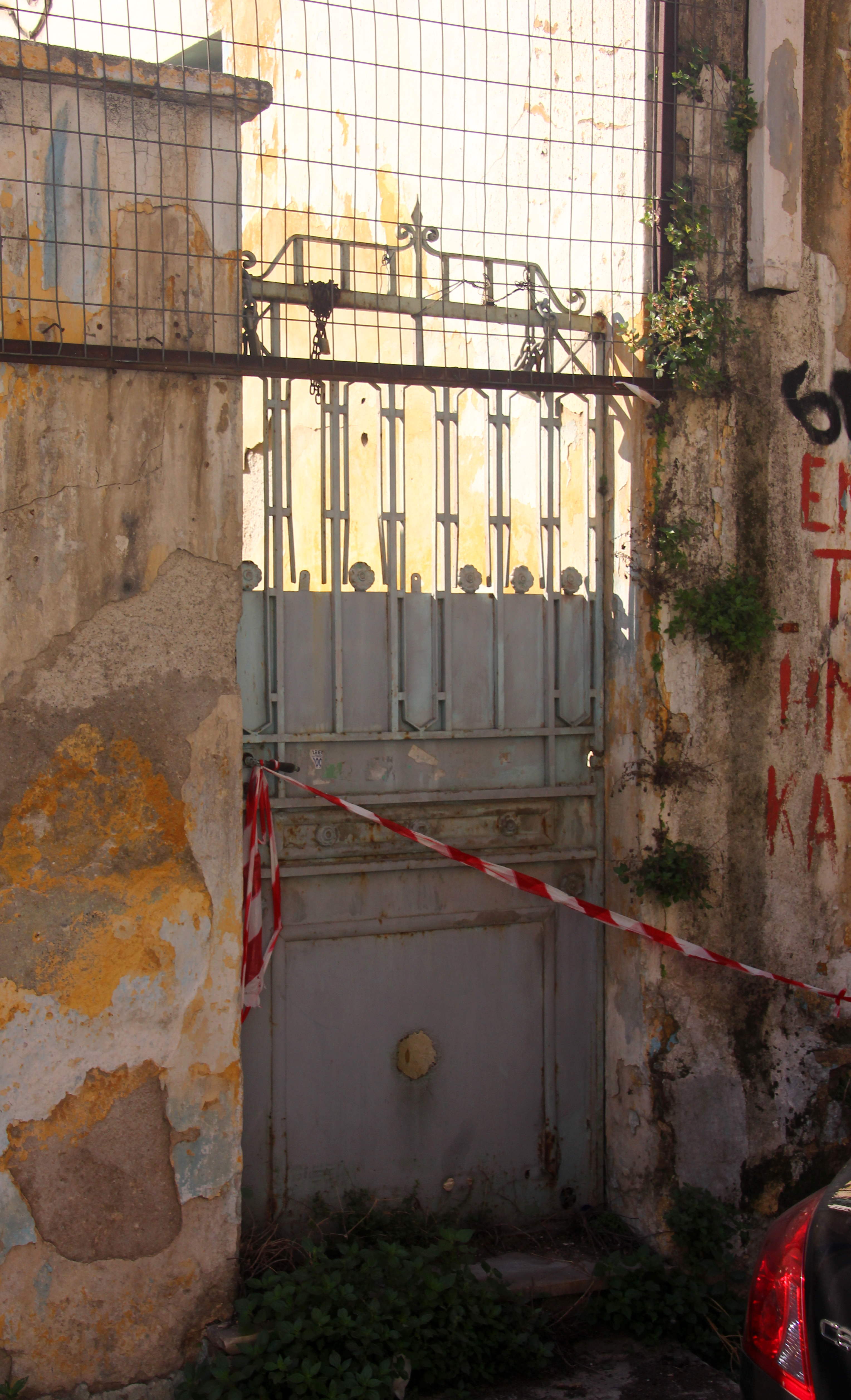 View of the yard door