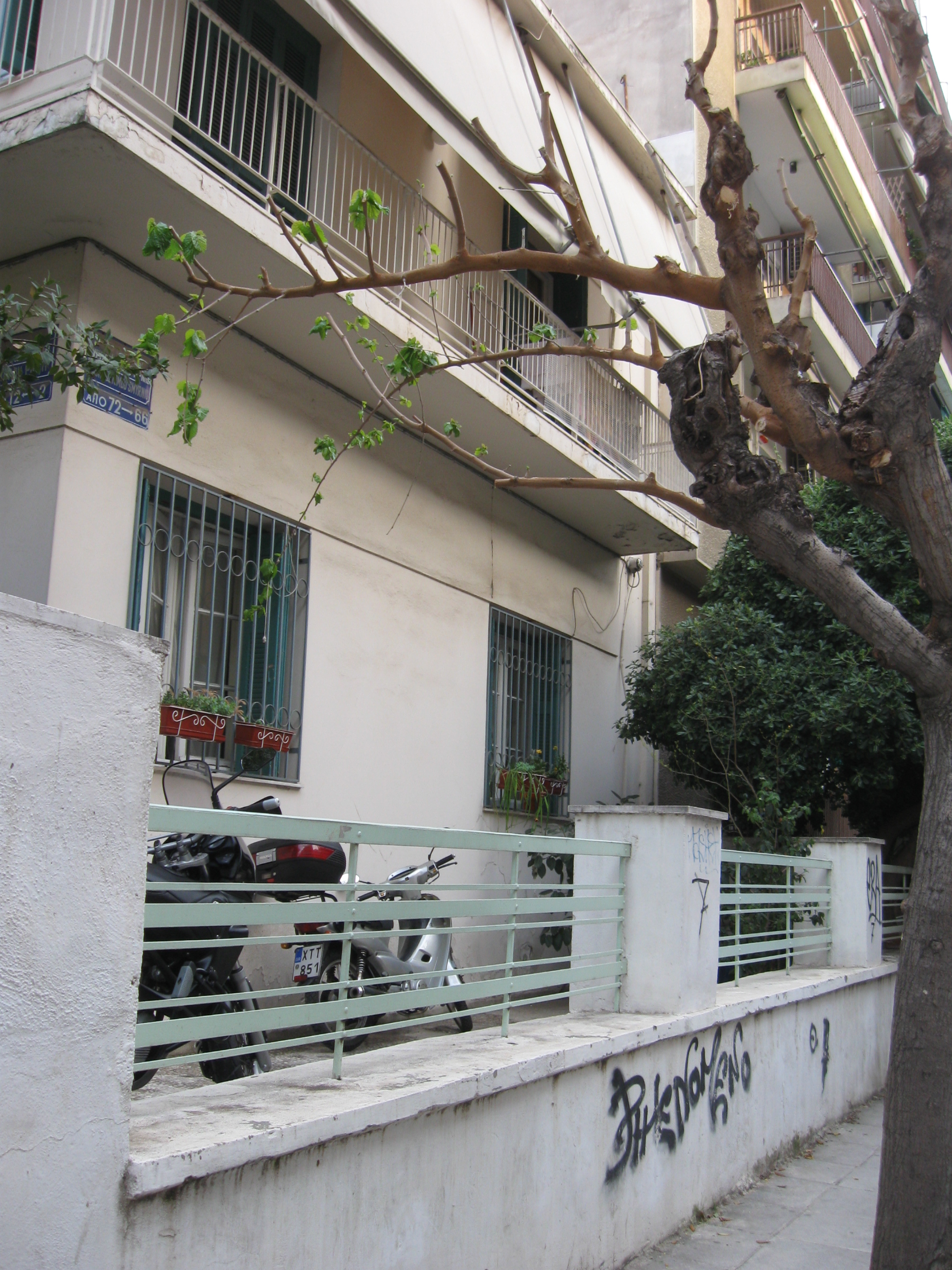 Detail of the fencing
