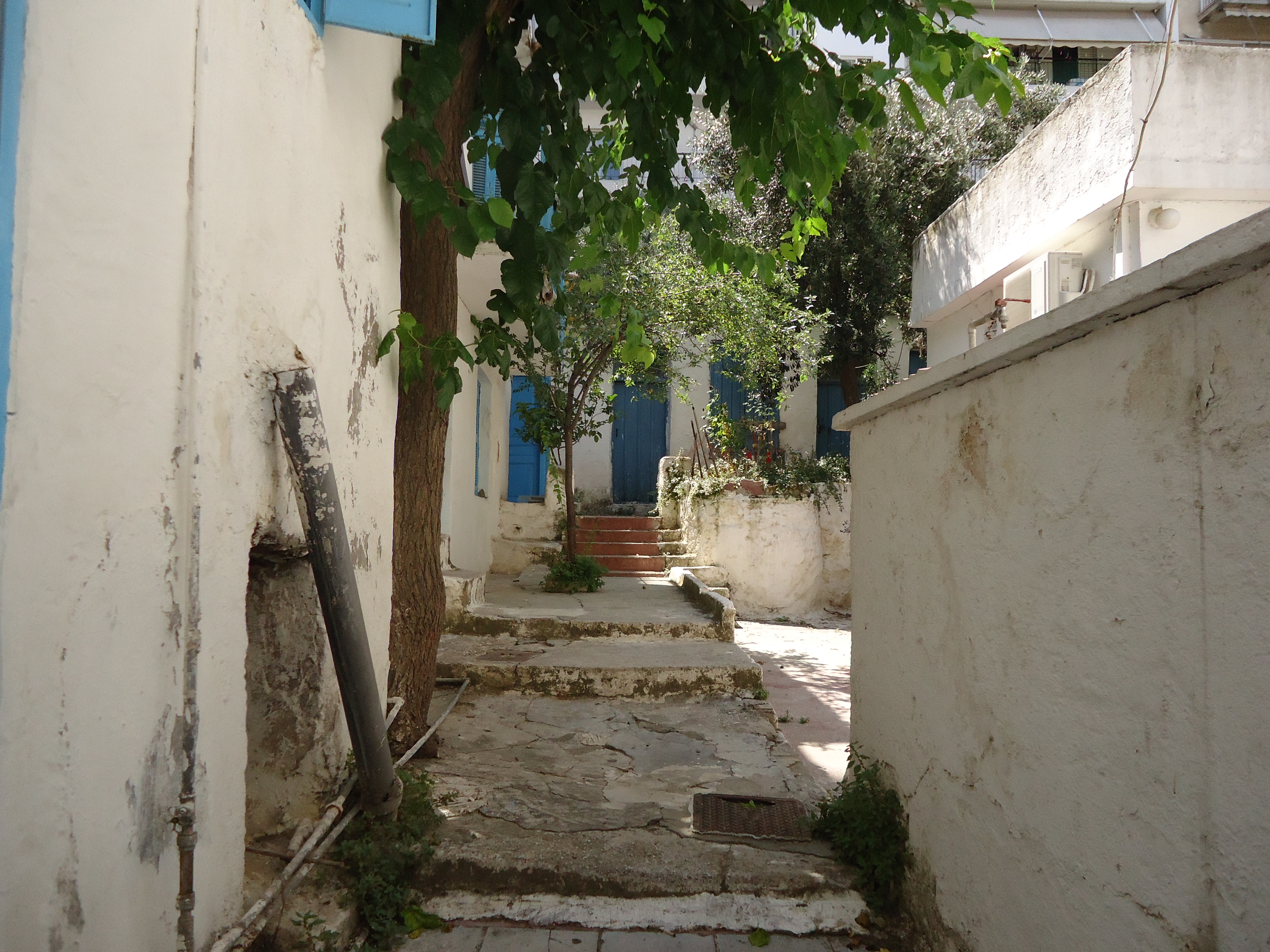 Λεπτομέρεια αυλής