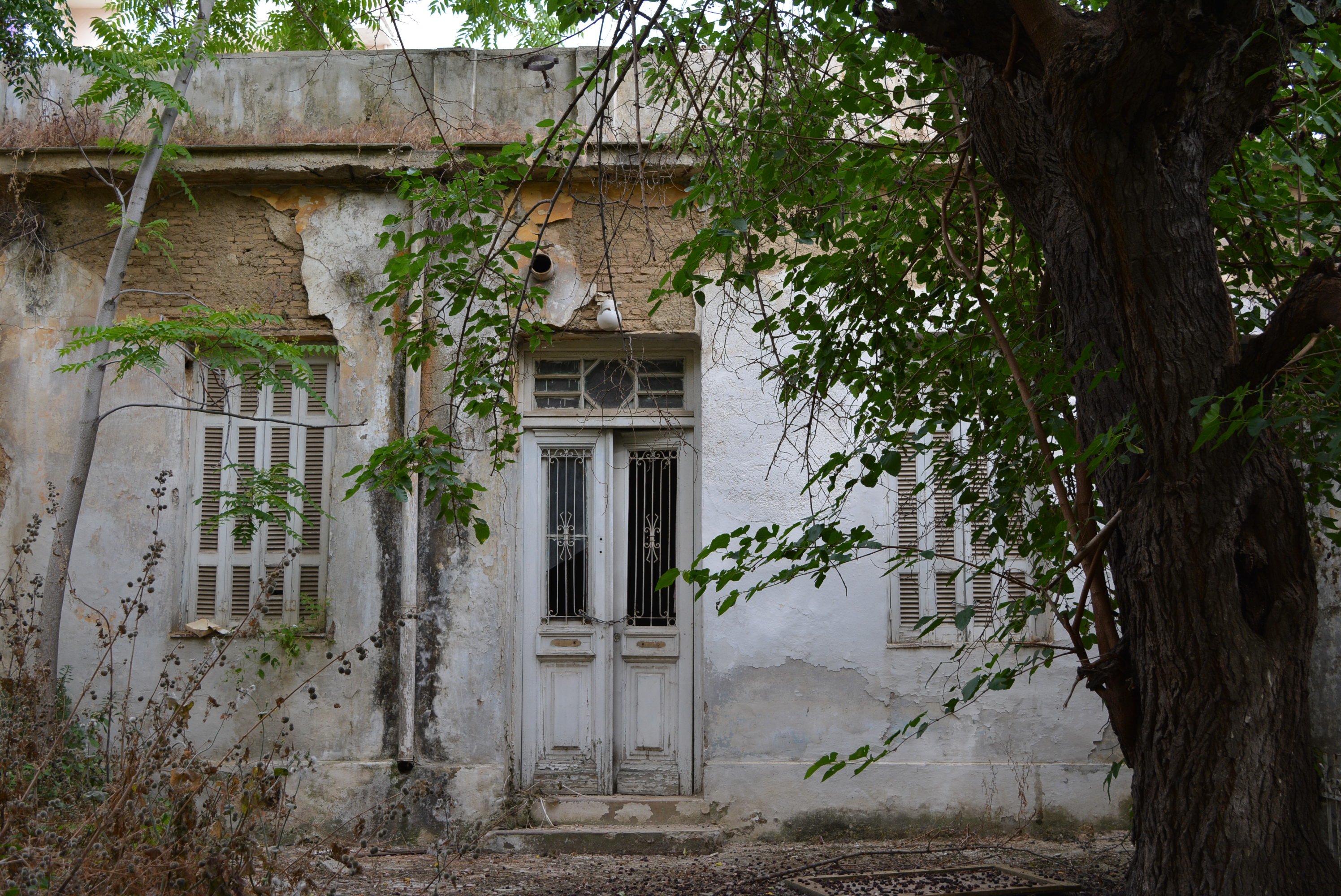 Γενική κύριας όψης