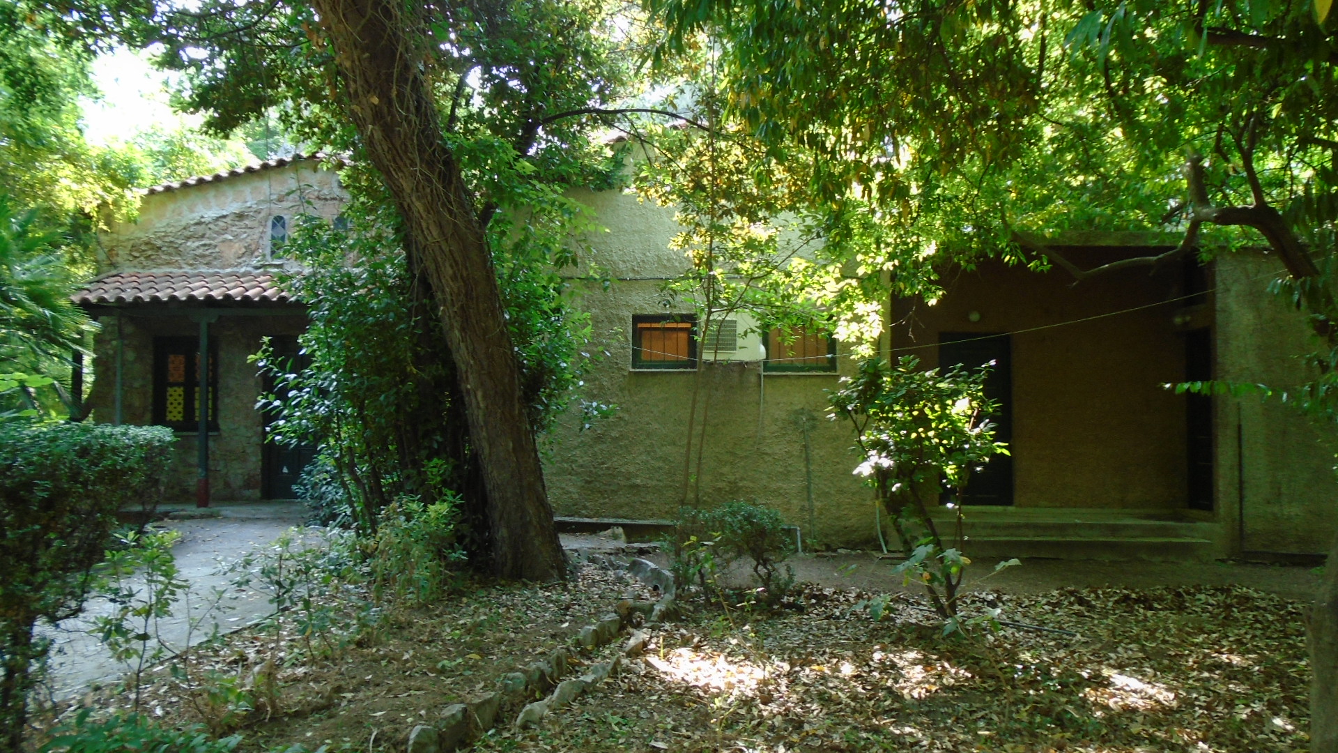 Γενική πίσω όψης