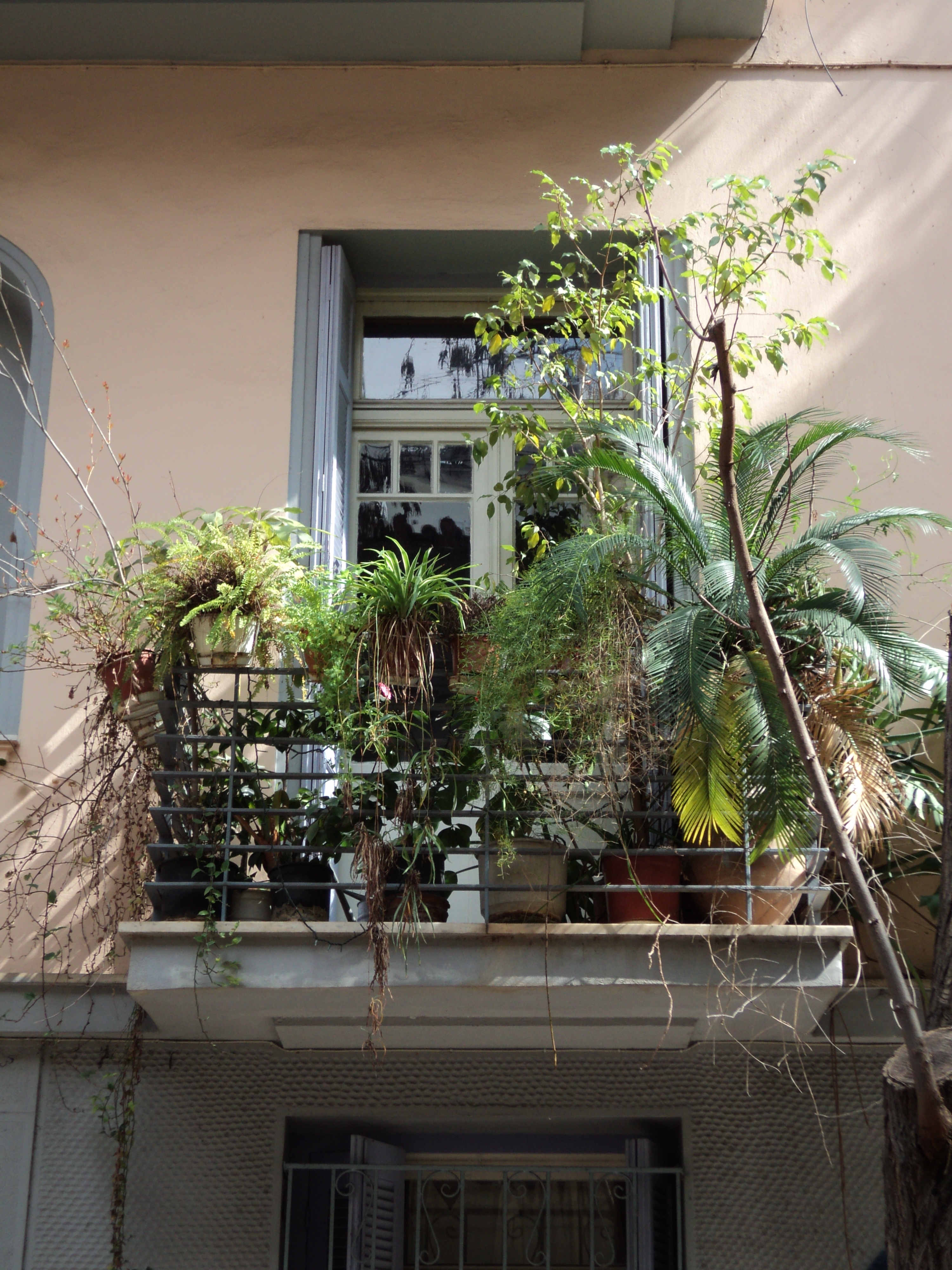 General view of balcony