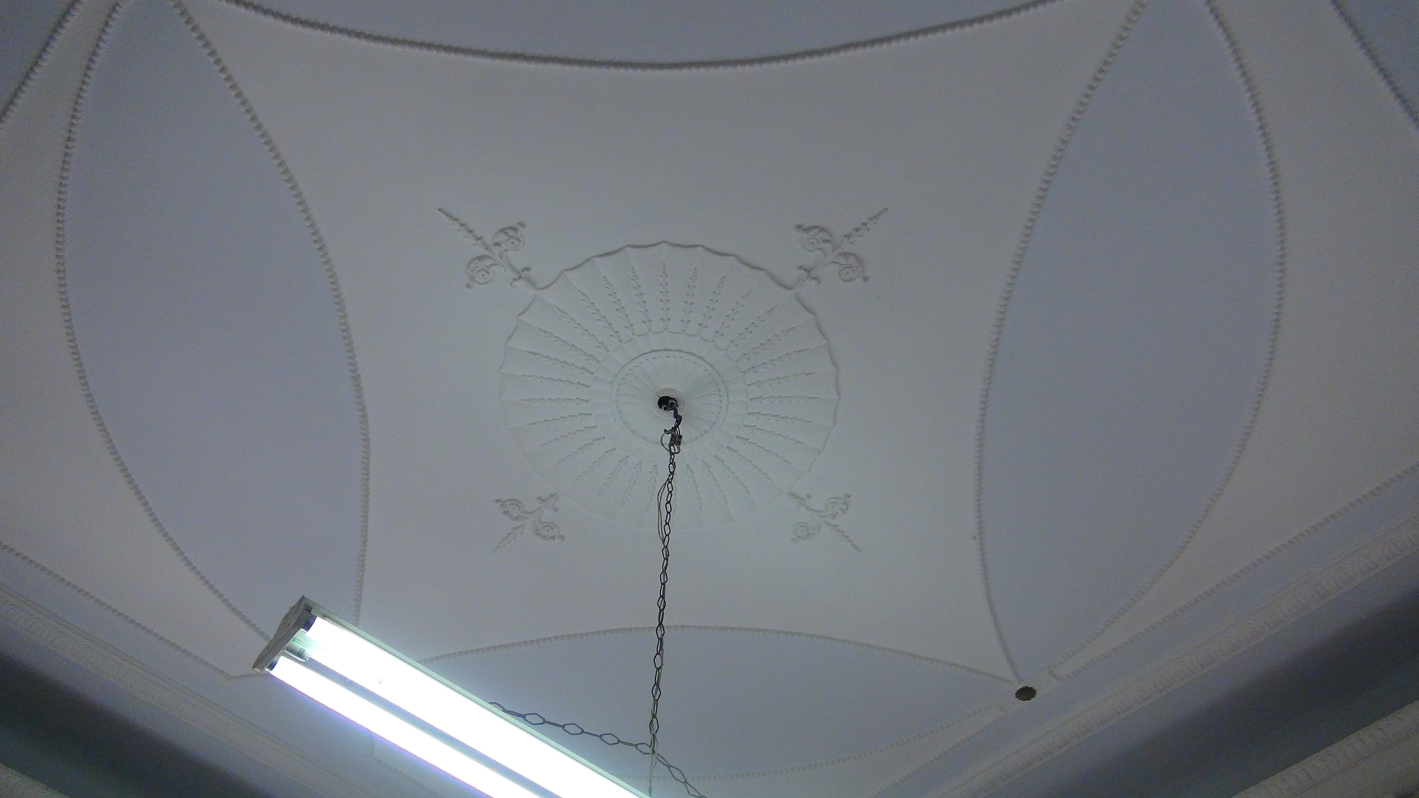 Ceiling in the interior (2013)