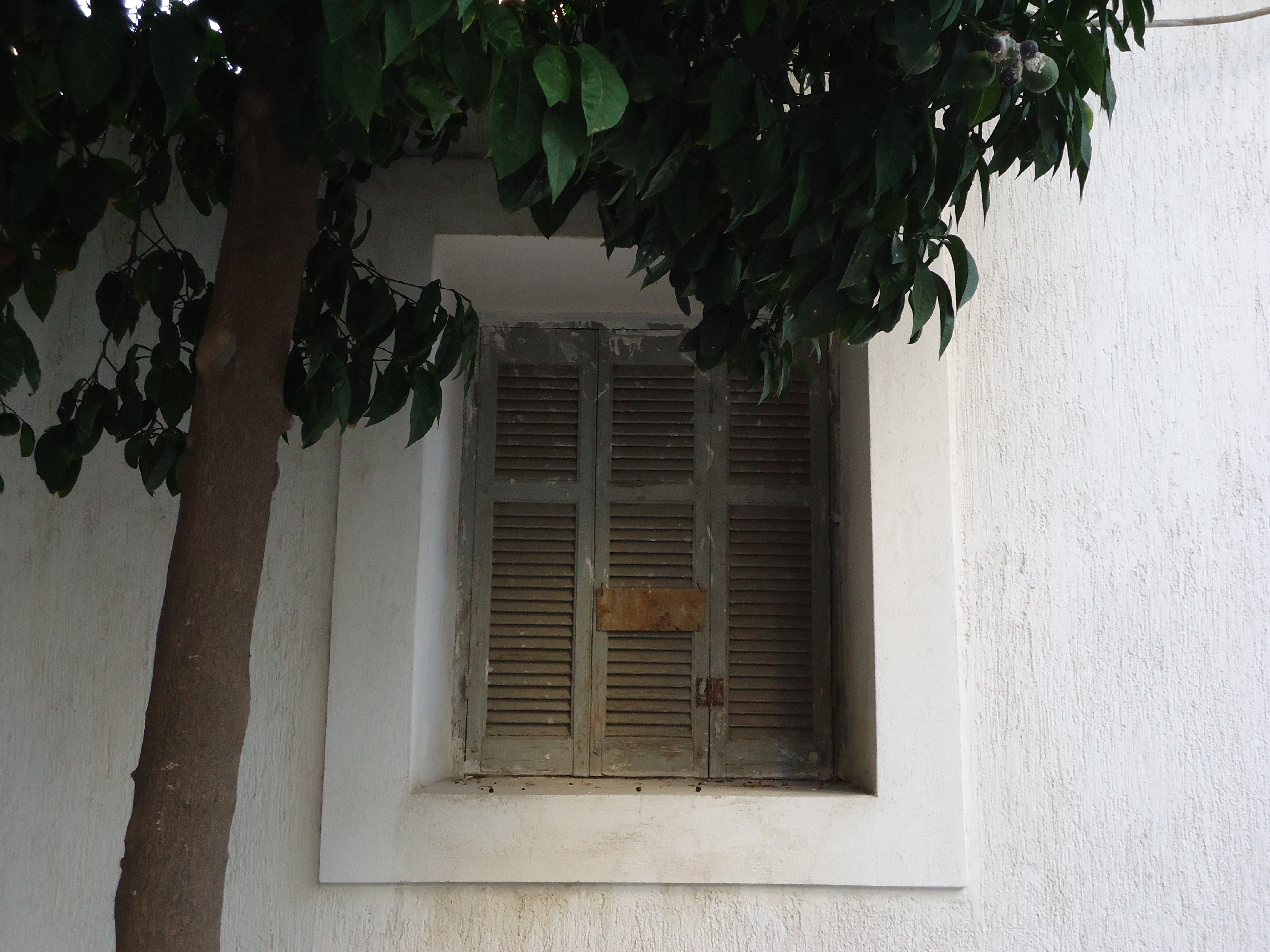 Γενική παραθύρου