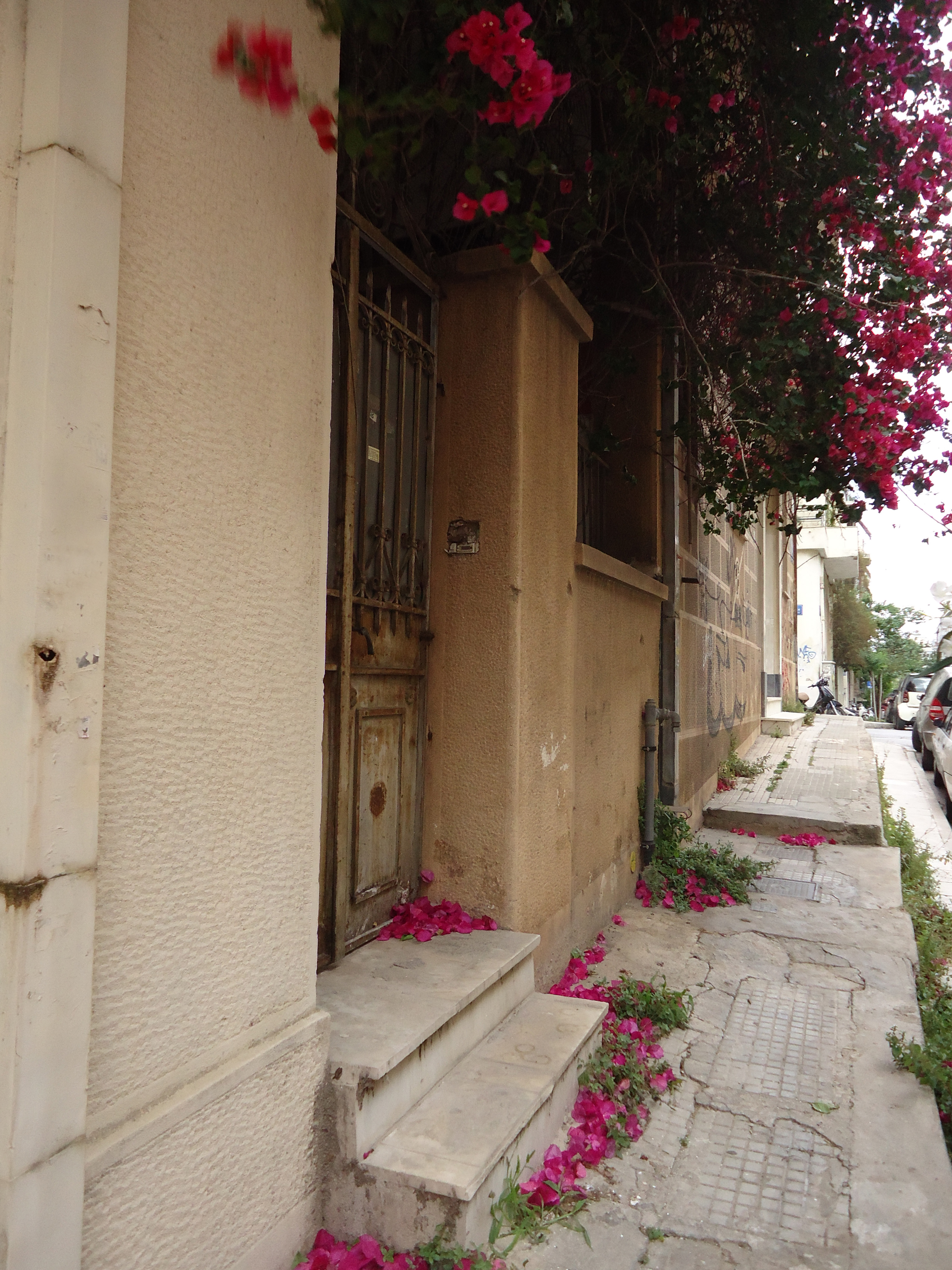 View of yard wall from Ieronos Str.