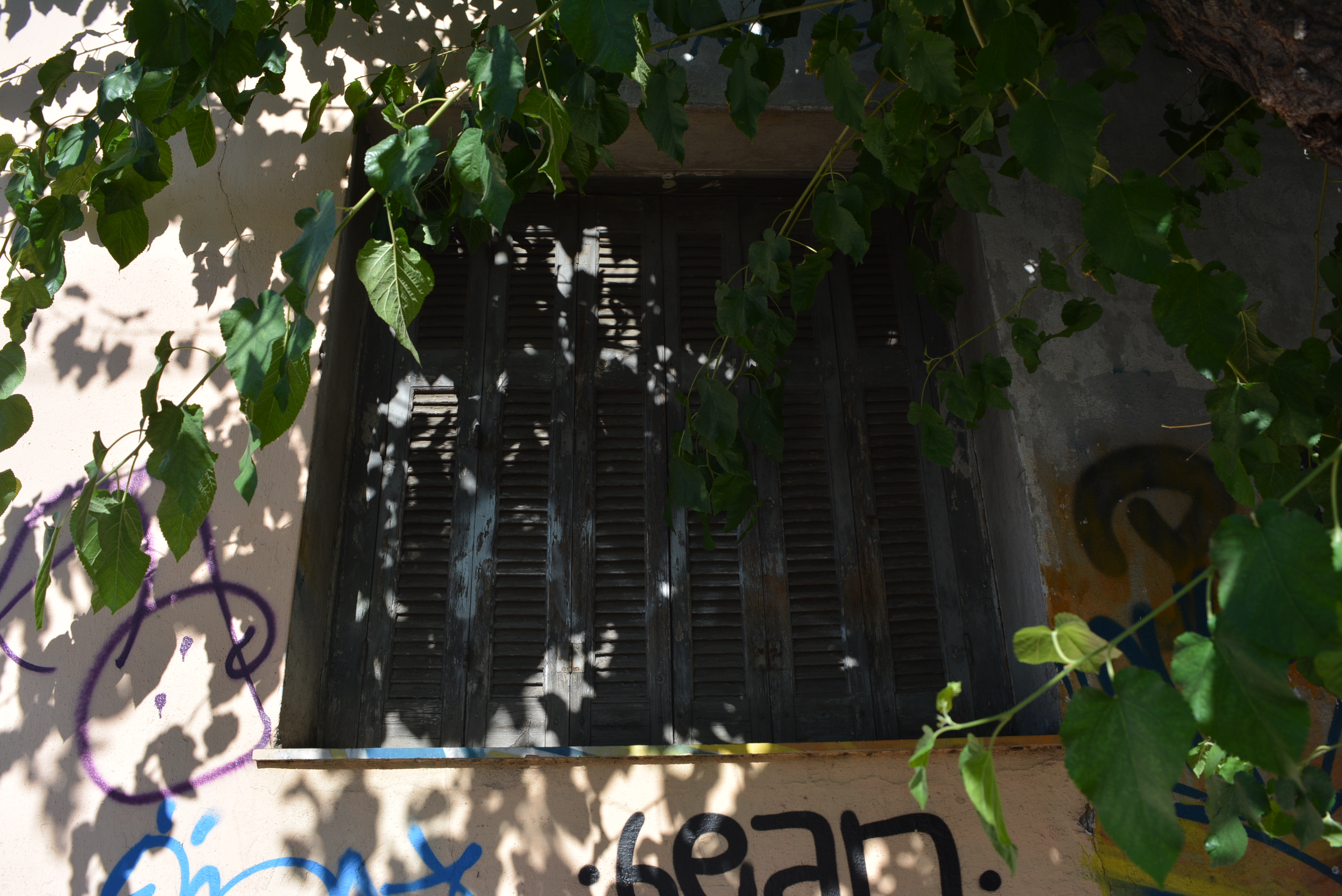 Γενική παραθύρου