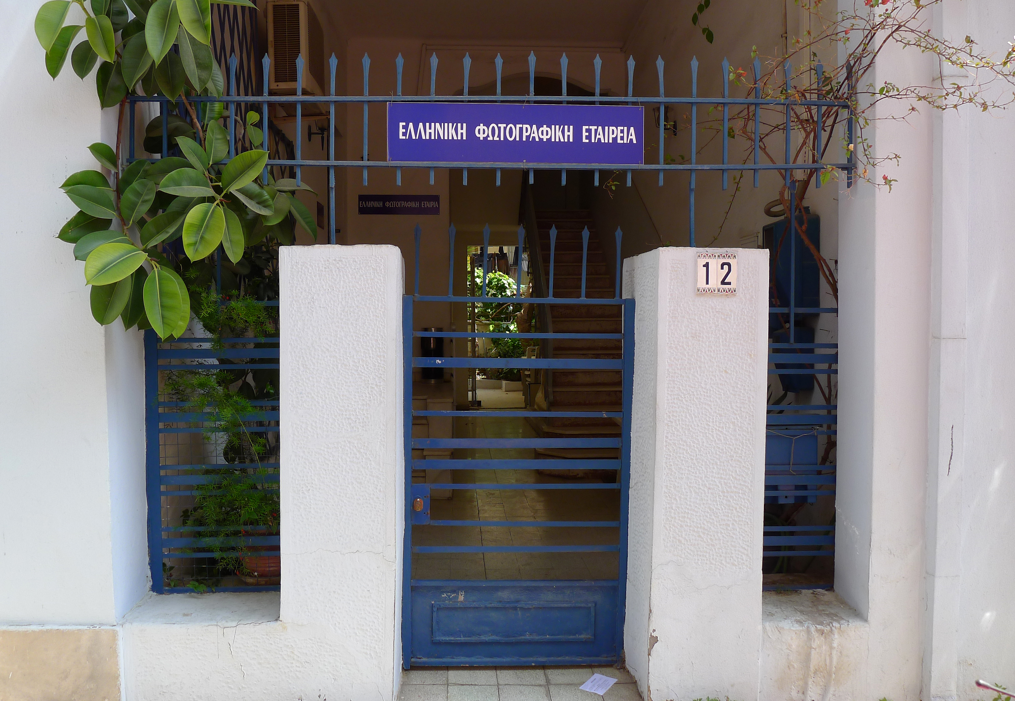 View of the yard door