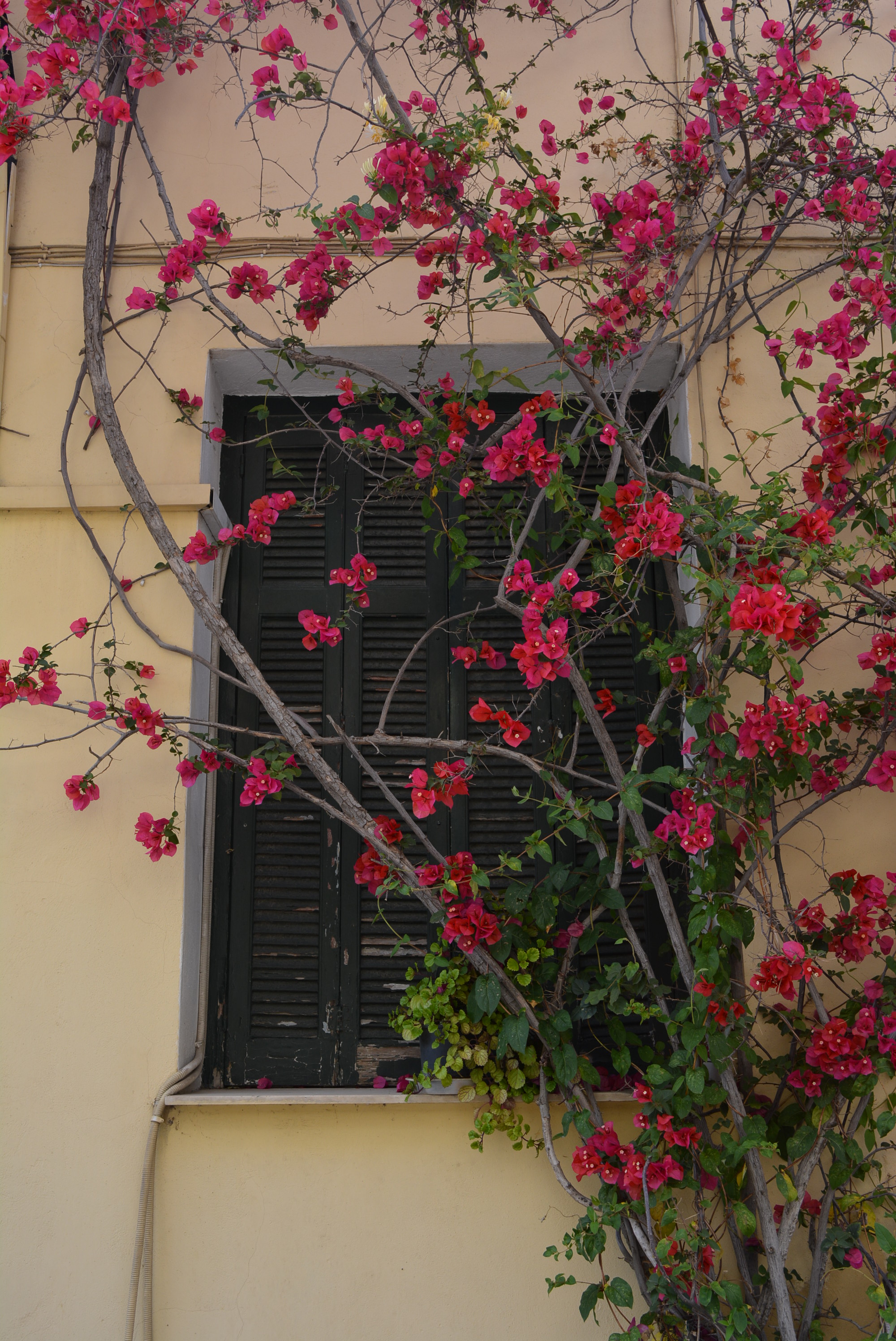 General view of window