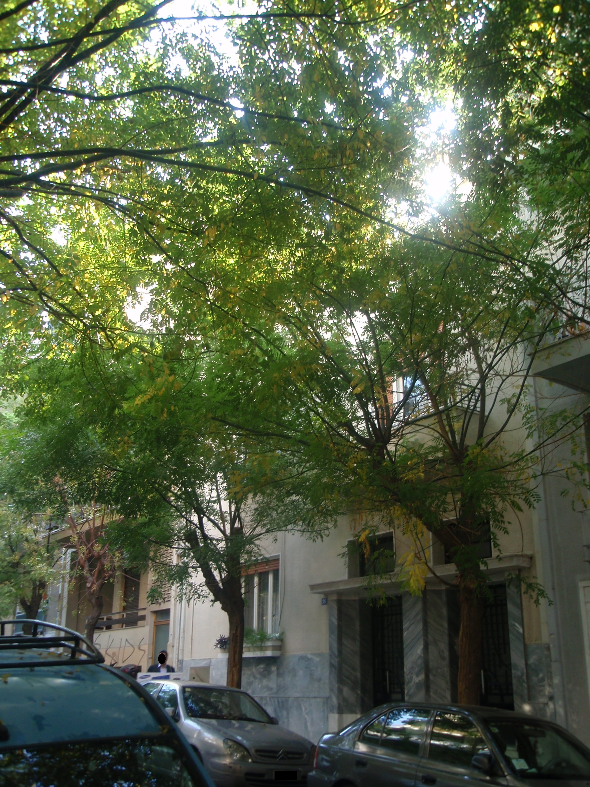 Γενική κύριας όψης (2013)