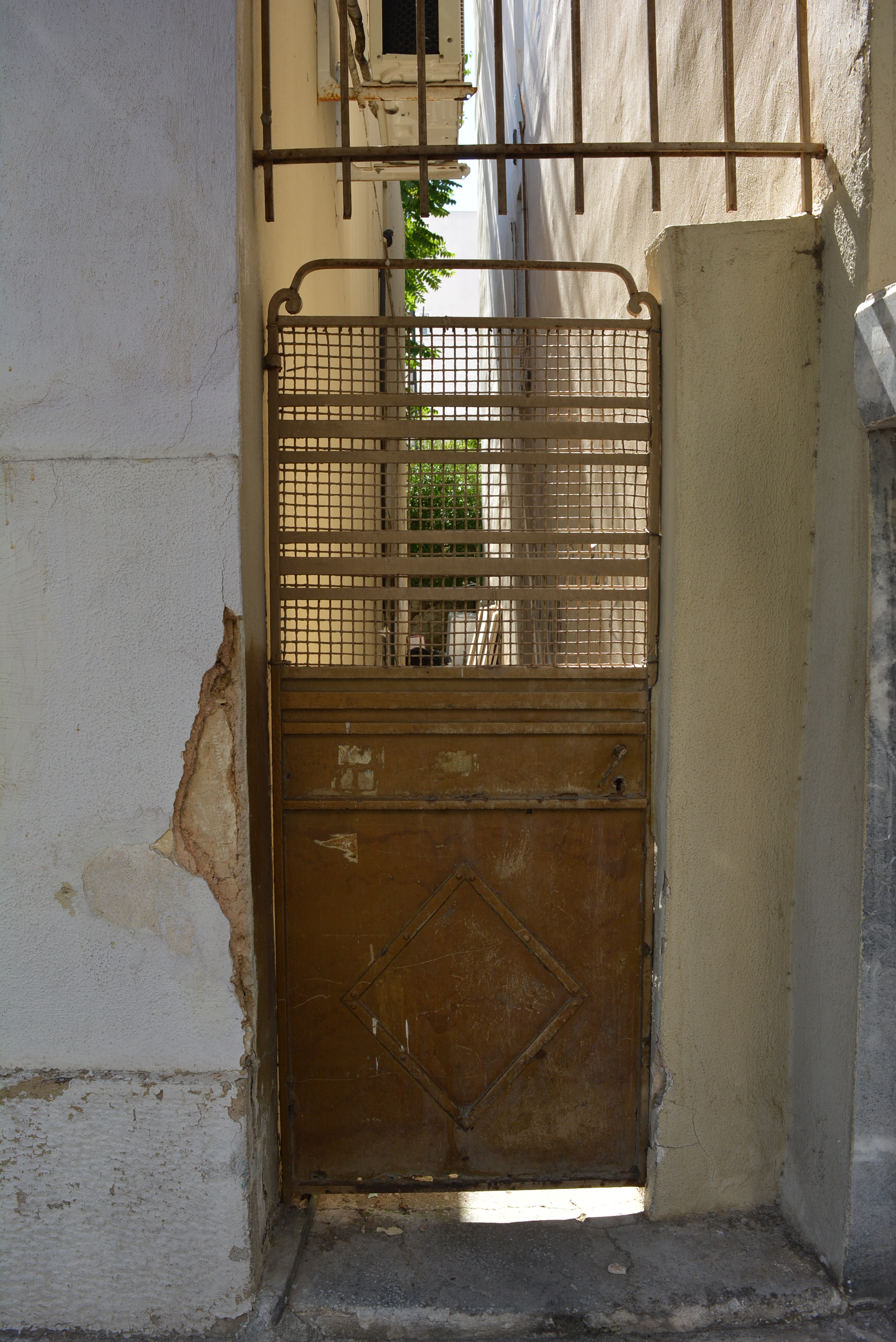 Γενική αυλόθυρας