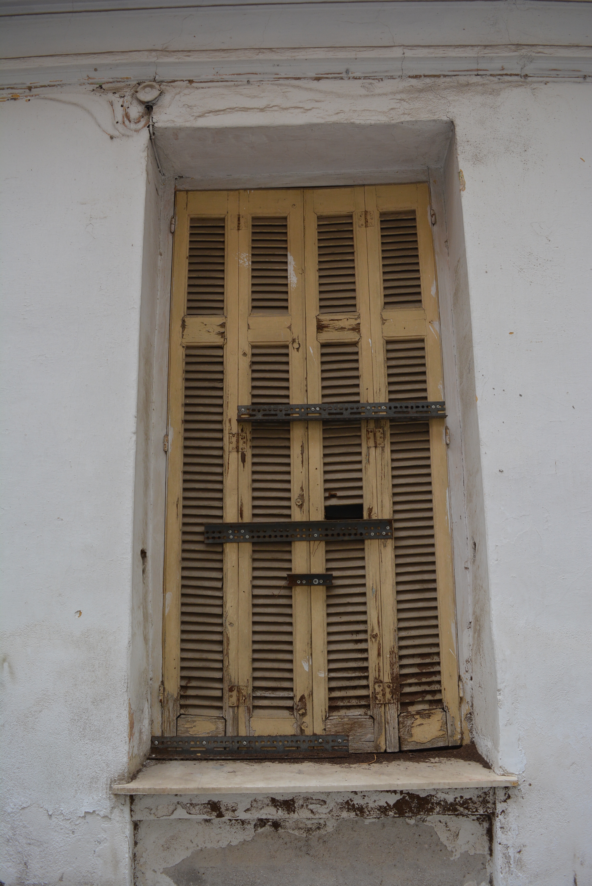 Window