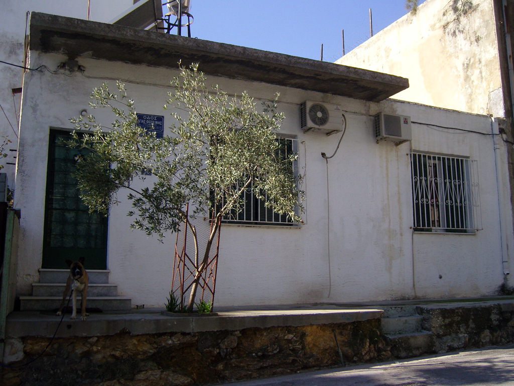 Γενική κύριας όψης