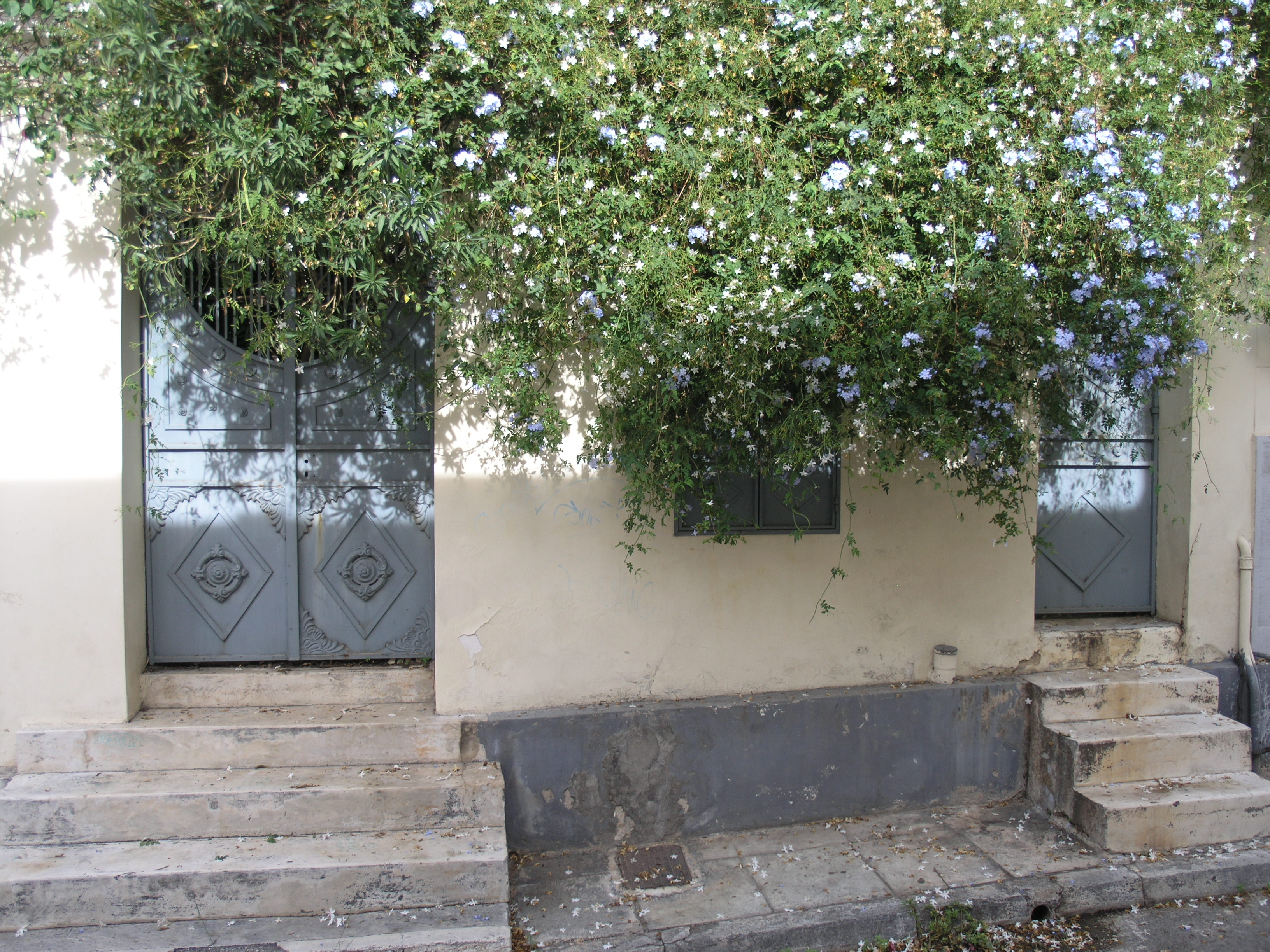 Γενική αυλοθυρών