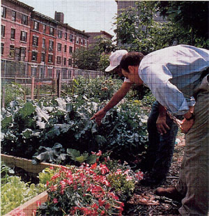 Κάτοικοι στους Βοτανικούς κήπους στο Brooklyn
πηγή: περιοδικό Kew, 1997