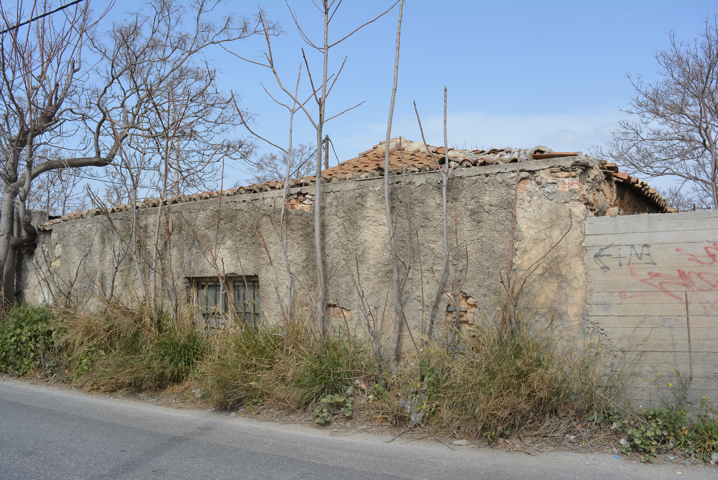 Γενική πλαϊνής όψης