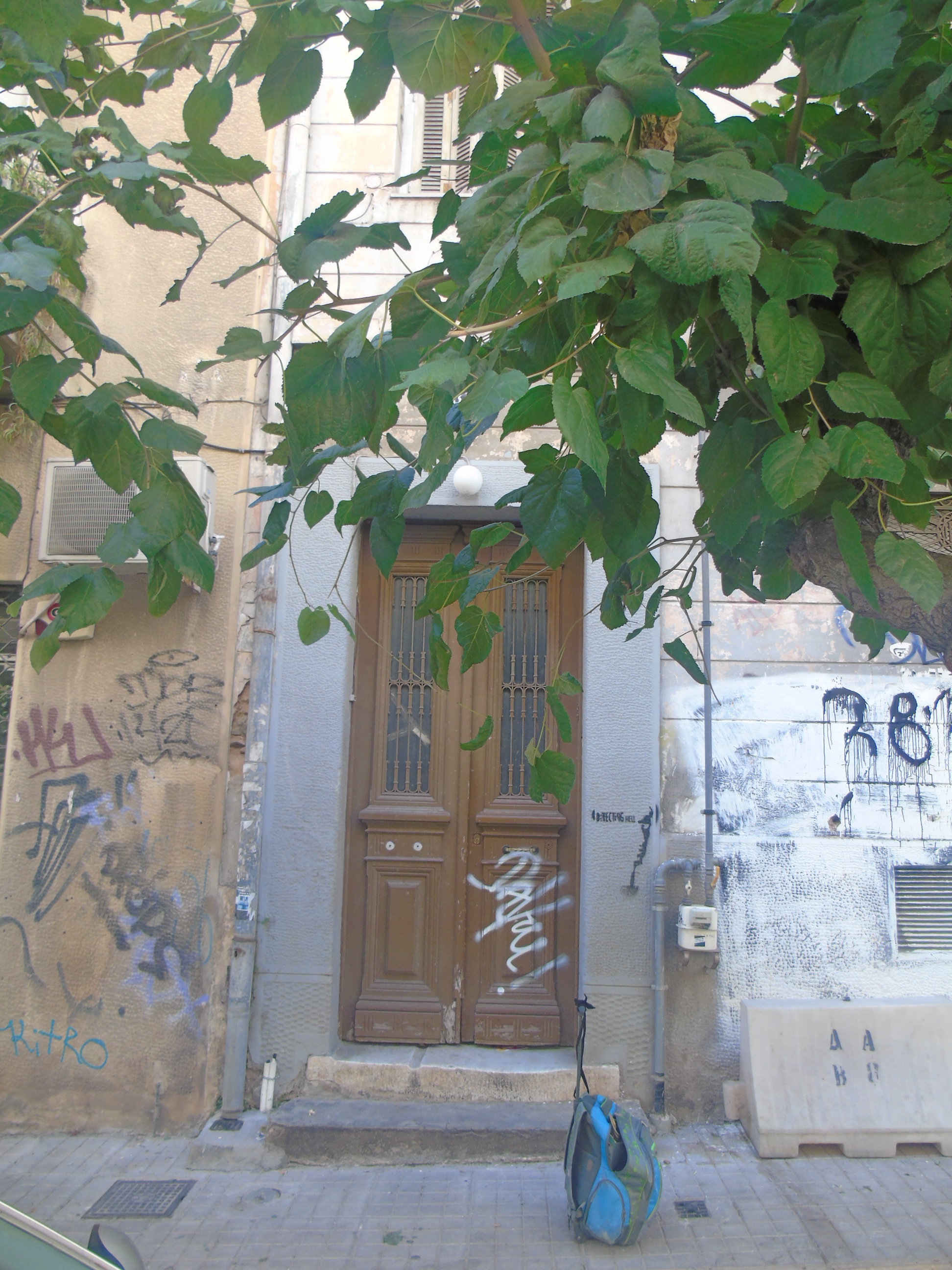 Γενική κεντρικής εισόδου