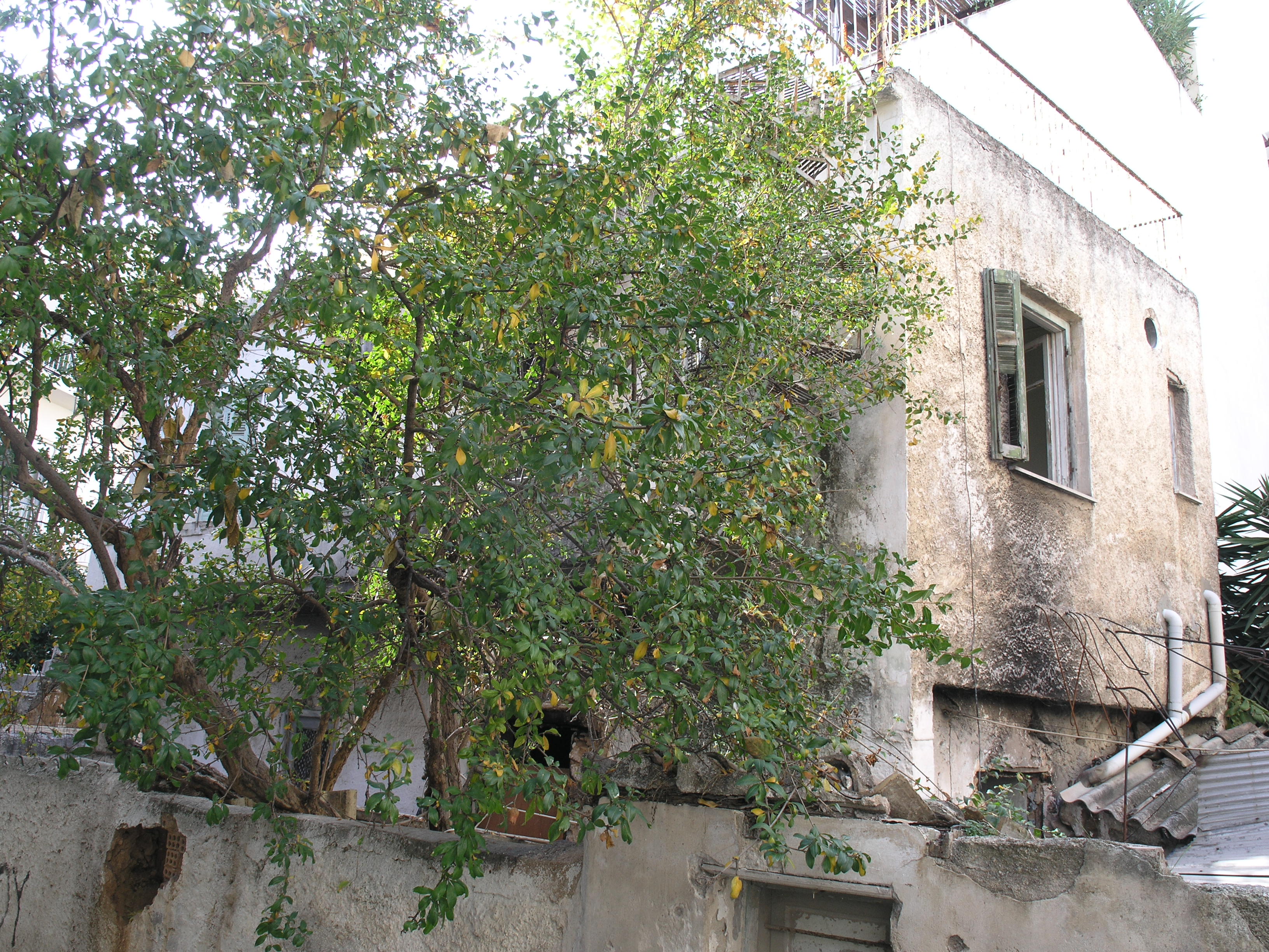 Γενική πλάγιας όψης