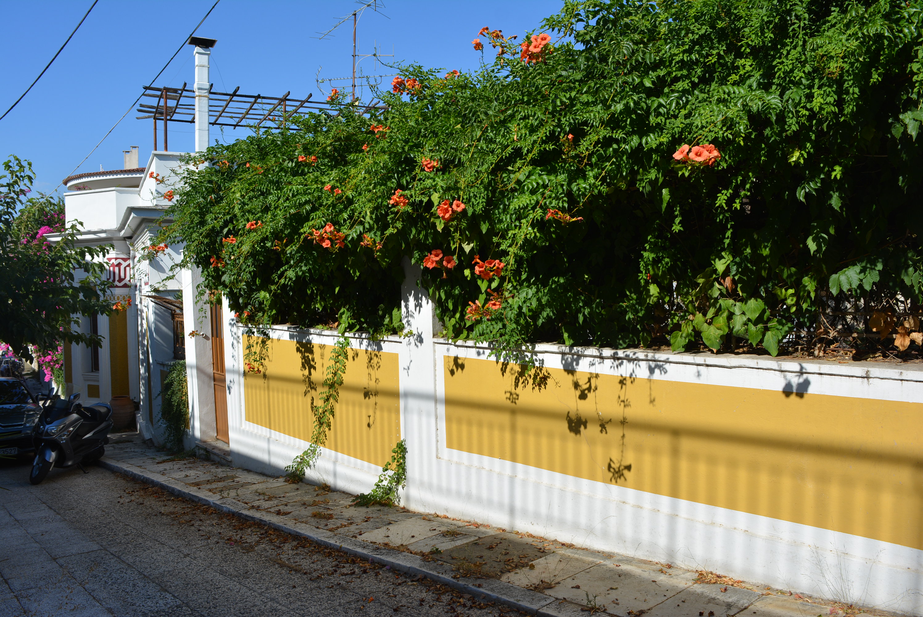 General view of the courtyard