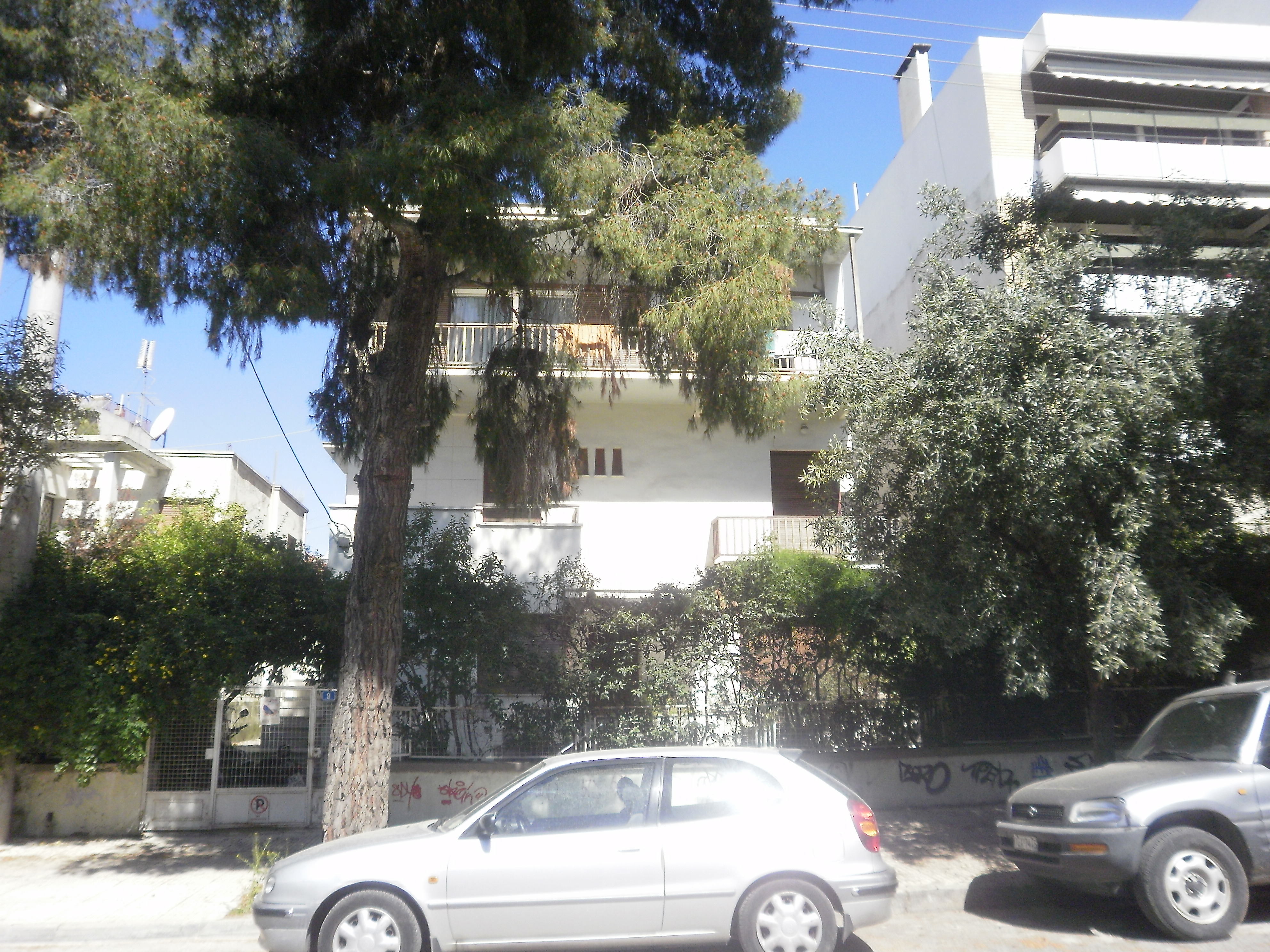 Front view