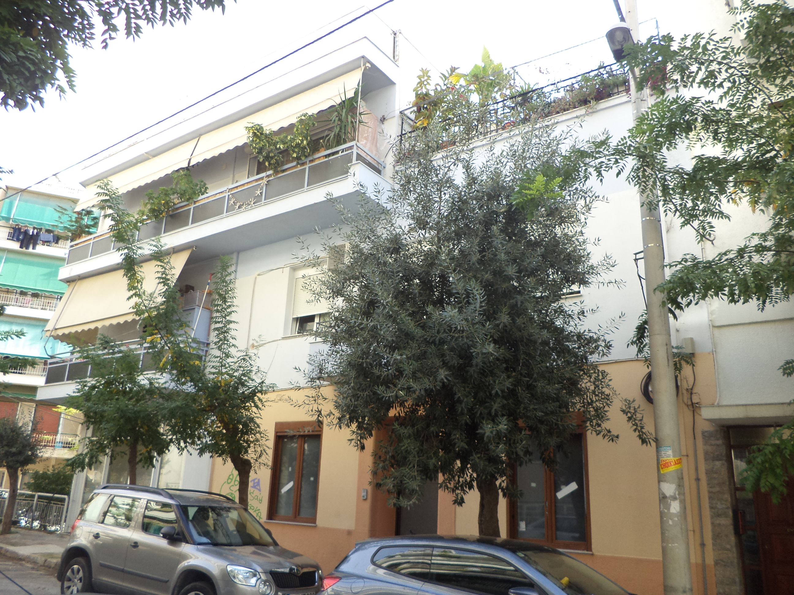 Γενική κύριας όψης