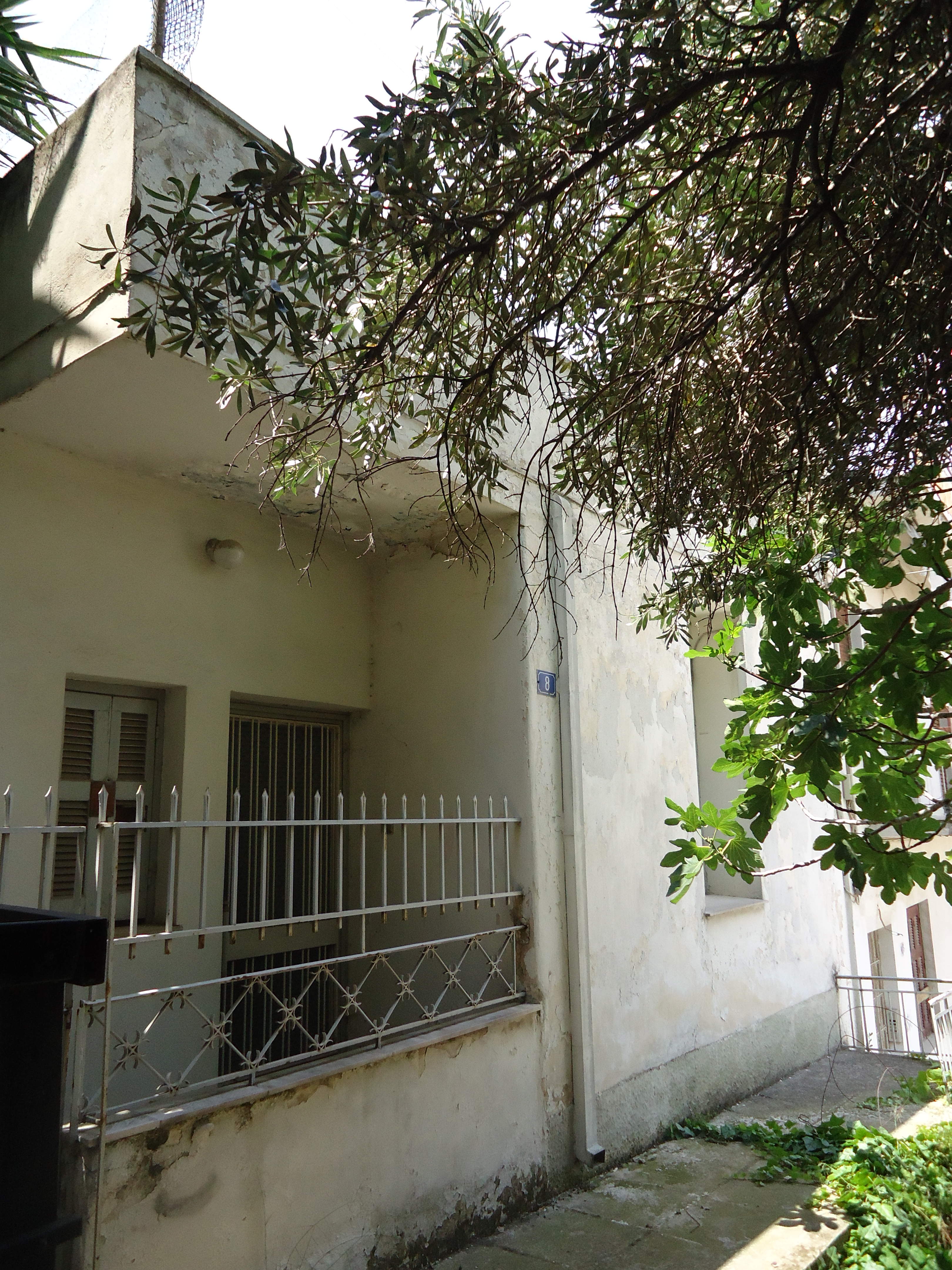 Γενική κύριας όψης