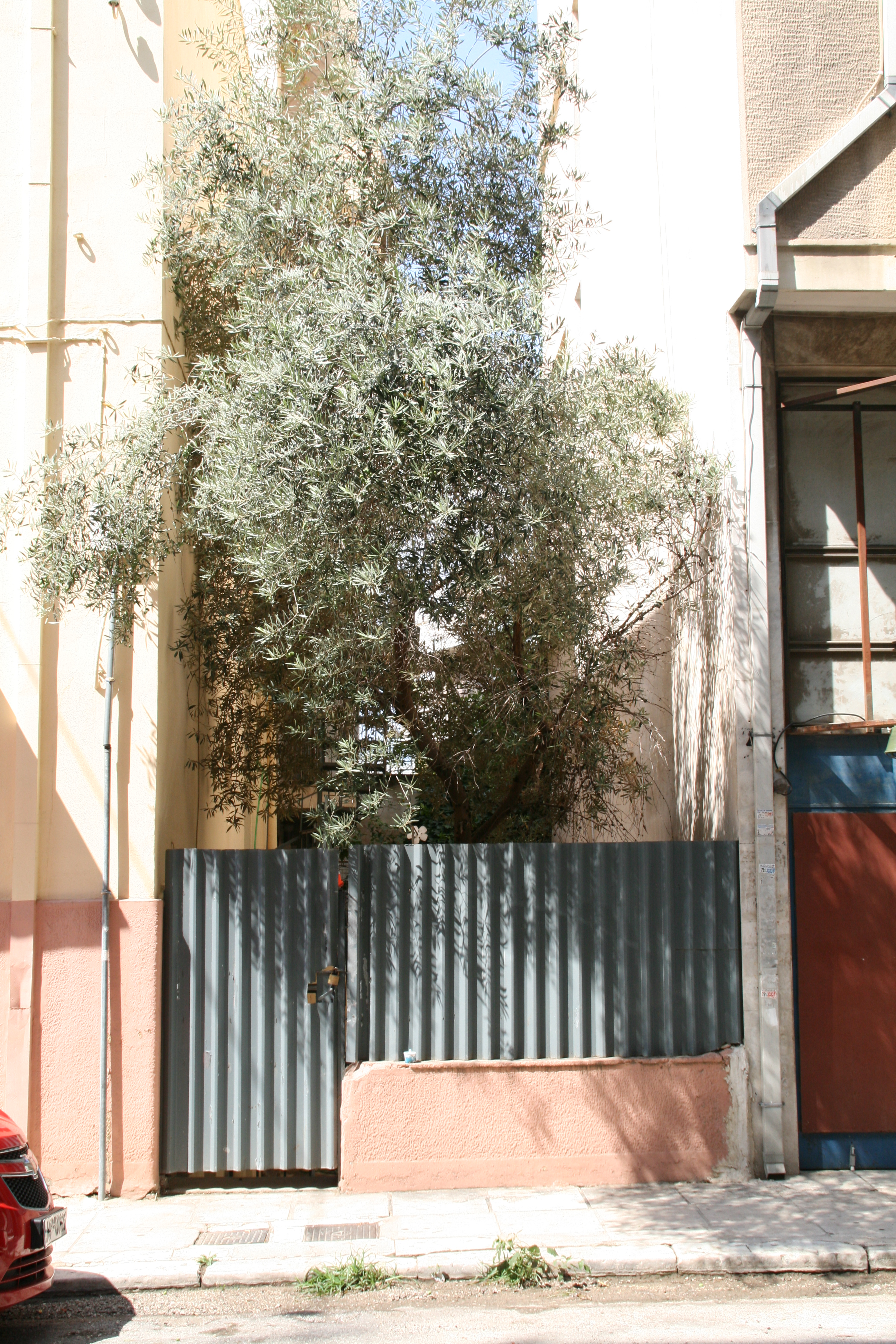 Courtyard door (2014)